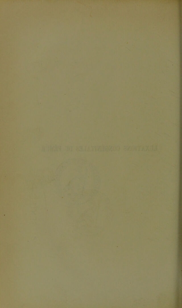 digitised image 2
