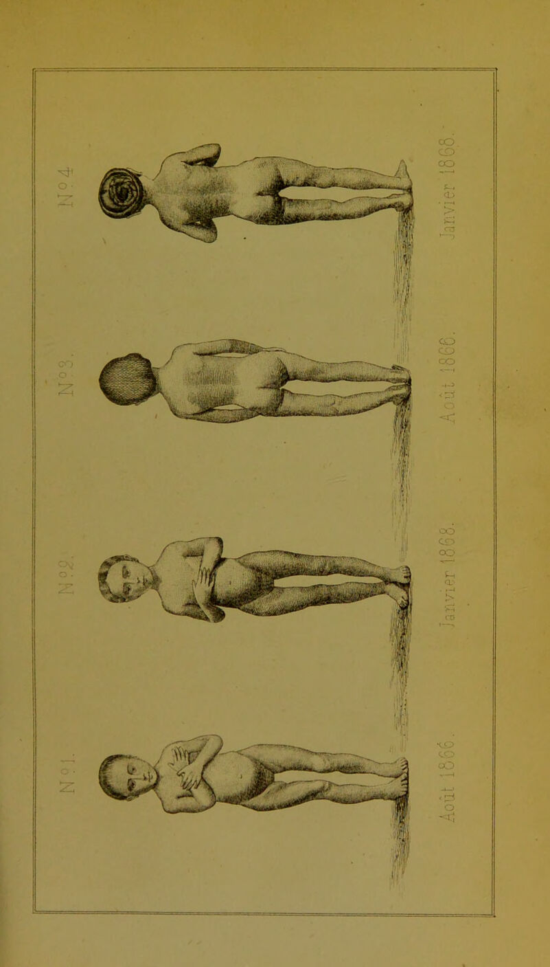 toM Août iô66. Janvier 1868. Août 1866. Janvier 1868.'