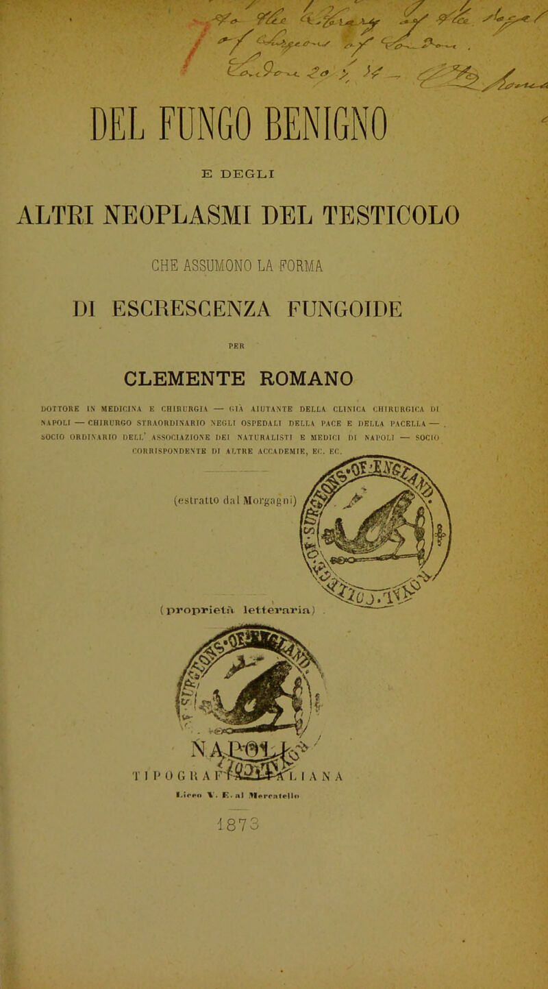 k ^jf'' s’-^ cV'e>~>~ P'*’ -< . / z .1 / c^n (*--*>*£ & >>S 6 DEL FUNGO BENIGNO E DEGLI ALTRI NEOPLASMI DEL TESTICOLO CHE ASSUMONO LA FORMA DI ESCRESCENZA FUNGO IDE PER CLEMENTE ROMANO DOTTORE IN MEDICINA E CHIRURGIA — GIÀ AIUTANTE DELLA CLINICA CHIRURGICA DI NAPOLI — CHIRURGO STRAORDINARIO NEGLI OSPEDALI DELLA PACE E DELLA PAGELLA — . SOCIO ORDINARIO DELL* ASSOCIAZIONE DEI NATURALISTI E MEDICI DI NAPOLI — SOCIO l.irtMi V. F. al >l«>rrxife|lo 1873