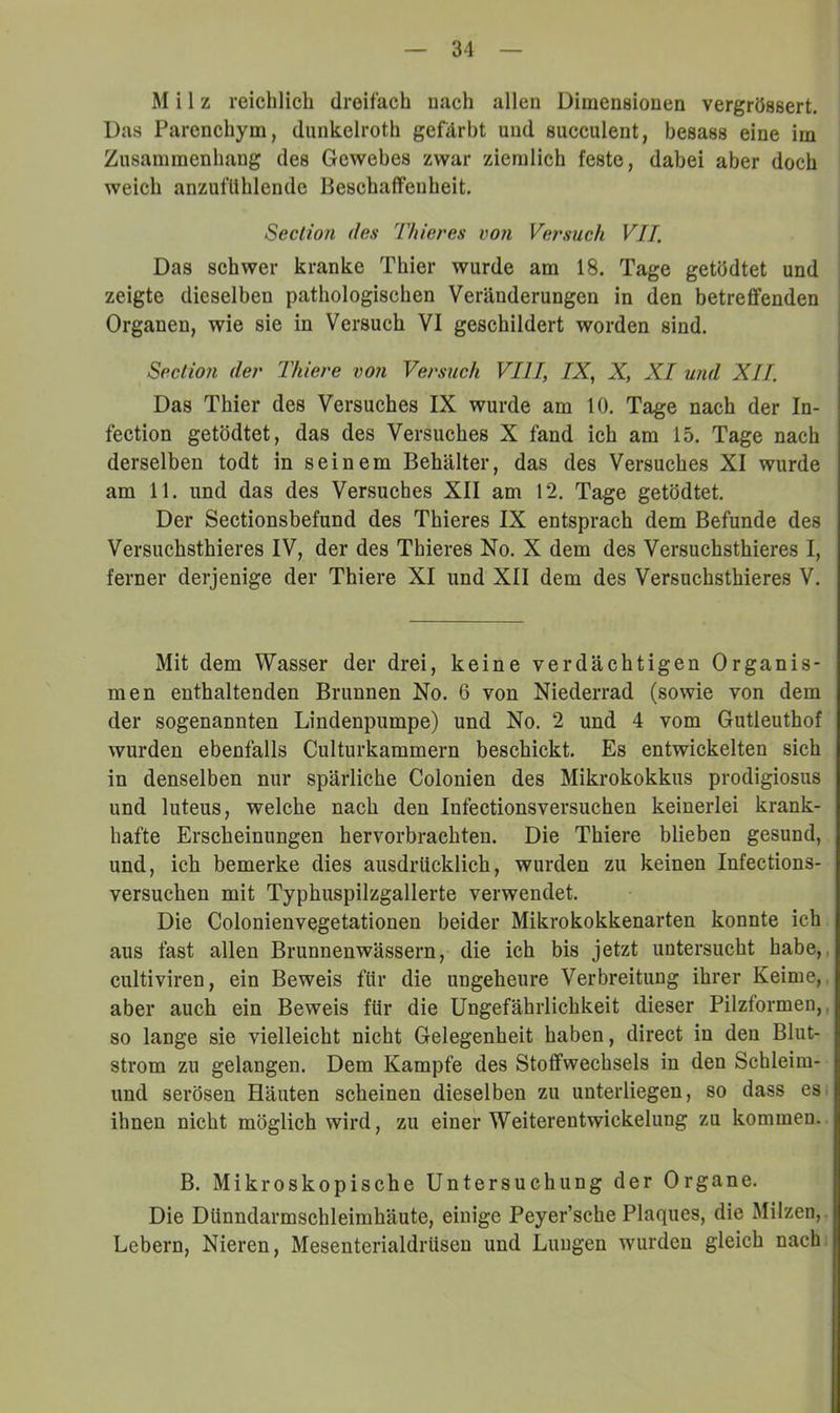 Milz reichlich dreifach nach allen Dimensionen vergrössert. Das Parenchym, dunkelroth gefärbt und succulent, besass eine im Zusammenhang des Gewebes zwar ziemlich feste, dabei aber doch weich anzufUhlende Beschaffenheit. Seciion des Thieres von Versuch VII. Das schwer kranke Thier wurde am 18. Tage getödtet und zeigte dieselben pathologischen Veränderungen in den betreffenden Organen, wie sie in Versuch VI geschildert worden sind. Section der Thiere von Versiich VIII, IX, X, XI u?id XII. Das Thier des Versuches IX wurde am 10. Tage nach der In- fection getödtet, das des Versuches X fand ich am 15. Tage nach derselben todt in seinem Behälter, das des Versuches XI wurde am 11. und das des Versuches XII am 12. Tage getödtet. Der Sectionsbefund des Thieres IX entsprach dem Befunde des Versuchsthieres IV, der des Thieres No. X dem des Versuchsthieres I, ferner derjenige der Thiere XI und XII dem des Versuchsthieres V. Mit dem Wasser der drei, keine verdächtigen Organis- men enthaltenden Brunnen No. 6 von Niederrad (sowie von dem der sogenannten Lindenpumpe) und No. 2 und 4 vom Gutleuthof wurden ebenfalls Culturkammern beschickt. Es entwickelten sich in denselben nur spärliche Colonien des Mikrokokkus prodigiosus und luteus, welche nach den Infeetionsversuchen keinerlei krank- hafte Erscheinungen hervorbrachten. Die Thiere blieben gesund, und, ich bemerke dies ausdrücklich, wurden zu keinen Infections- versuchen mit Typhuspilzgallerte verwendet. Die Colonienvegetationen beider Mikrokokkenarten konnte ich aus fast allen Brunnenwässern, die ich bis jetzt untersucht habe,, cultiviren, ein Beweis für die ungeheure Verbreitung ihrer Keime,, aber auch ein Beweis für die Ungefährlichkeit dieser Pilzformen,, so lange sie vielleicht nicht Gelegenheit haben, direct in den Blut- strom zu gelangen. Dem Kampfe des Stoffwechsels in den Schleim- und serösen Häuten scheinen dieselben zu unterliegen, so dass eS' ihnen nicht möglich wird, zu einer WeiterentWickelung zu kommen.. B. Mikroskopische Untersuchung der Organe. Die Dünndarmschleimhäute, einige Peyer’sche Plaques, die Milzen,. Lebern, Nieren, Mesenterialdrüsen und Lungen wurden gleich nach