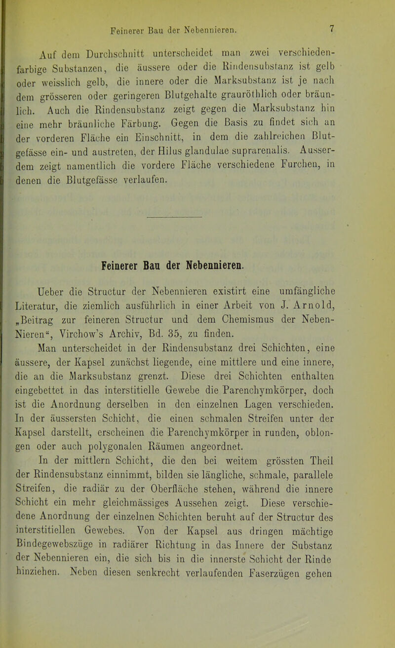 Auf dem Durchsclmitt unterscheidet man zwei verschieden- farbige Substanzen, die äussere oder die Rindeiisubstanz ist gelb oder weisslich gelb, die innere oder die Marksubstanz ist je nach dem grösseren oder geringeren Blutgehalte graurötlilich oder bräun- lich. Auch die Rindensubstanz zeigt gegen die Marksubstanz hin eine mehr bräunliche Färbung. Gegen die Basis zu findet sich an der vorderen Fläche ein Einschnitt, in dem die zahlreichen Blut- gefässe ein- und austreten, der Hilus glandulae suprarenalis. Ausser- dem zeigt namentlich die vordere Fläche verschiedene Furchen, in denen die Blutgefässe verlaufen. Feinerer Bau der Nebennieren. lieber die Structur der Nebennieren existirt eine umfängliche Literatur, die ziemlich ausführlich in einer Arbeit von J. Arnold, „Beitrag zur feineren Structur und dem Chemismus der Neben- Nieren“, Virchow’s Archiv, Bd. 35, zu finden. Man unterscheidet in der Rindensubstanz drei Schichten, eine äussere, der Kapsel zunächst liegende, eine mittlere und eine innere, die an die Marksubstanz grenzt. Diese drei Schichten enthalten eingebettet in das interstitielle Gewebe die Parenchymkörper, doch ist die Anordnung derselben in den einzelnen Lagen verschieden, ln der äussersten Schicht, die einen schmalen Streifen unter der Kapsel darstellt, erscheinen die Parenchymkörper in runden, oblon- gen oder auch polygonalen Räumen angeordnet. In der mittlern Schicht, die den bei weitem grössten Theil der Rindensubstanz einnimmt, bilden sie längliche, schmale, parallele Streifen, die radiär zu der Oberfläche stehen, während die innere Schicht ein mehr gleichmässiges Aussehen zeigt. Diese verschie- dene Anordnung der einzelnen Schichten beruht auf der Structur des interstitiellen Gewebes. Von der Kapsel aus dringen mächtige Bindegewebszüge in radiärer Richtung in das Innere der Substanz der Nebennieren ein, die sich bis in die innerste Schicht der Rinde hinziehen. Neben diesen senkrecht verlaufenden Faserzügen gehen