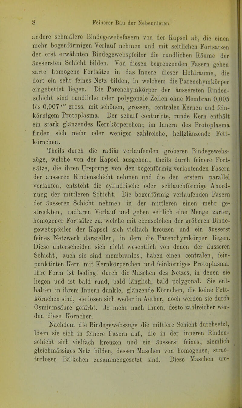 andere schmälere Bindegewebsfasern von der Kapsel ab, die einen mehr bogenförmigen Verlauf nehmen und mit seitlichen Fortsätzen der erst erwähnten Bindcgewebspfeiler die rundlichen Räume der äussersten Schicht bilden. Von diesen begrenzenden Fasern gehen zarte homogene Fortsätze in das Innere dieser Hohlräume, die dort ein sehr feines Netz bilden, in welchem die Parenchymkörper eingebettet liegen. Die Parenchymkörper der äussersten Rinden- schicht sind rundliche oder polygonale Zellen ohne Membran 0,005 bis 0,007gross, mit schönen, grossen, centralen Kernen und fein- körnigem Protoplasma. Der scharf conturirte, runde Kern enthält ein stark glänzendes Kernkörperchen; im Innern des Protoplasma finden sich mehr oder weniger zahlreiche, hellglänzende Fett- körnchen. Theils durch die radiär verlaufenden gröberen Bindegewebs- züge, welche von der Kapsel ausgehen, theils durch feinere Fort- sätze, die ihren Ursprung von den bogenförmig verlaufenden Fasern der äusseren Rindenschicht nehmen und die den erstem parallel verlaufen, entsteht die cylindrische oder schlauchförmige Anord- nung der mittleren Schicht. Die bogenförmig verlaufenden Fasern der äusseren Schicht nehmen in der mittleren einen mehr ge- streckten, radiären Verlauf und geben seitlich eine Menge zarter, homogener Fortsätze zu, welche mit ebensolchen der gröberen Binde- gewebspfeiler der Kapsel sich vielfach kreuzen und ein äusserst feines Netzwerk darstellen, in dem die Parenchymkörper liegen. Diese unterscheiden sich nicht wesentlich von denen der äusseren Schicht, auch sie sind membranlos, haben einen centralen, fein- punktirten Kern mit Kernkörperchen und feinkörniges Protoplasma. Ihre Form ist bedingt durch die Maschen des Netzes, in denen sie liegen und ist bald rund, bald länglich, bald polygonal. Sie ent- halten in ihrem Innern dunkle, glänzende Körnchen, die keine Fett- körnchen sind, sie lösen sich weder in Aether, noch werden sie durch Osmiumsäure gefärbt. Je mehr nach Innen, desto zahlreicher wer- den diese Körnchen. Nachdem die Bindegewebszüge die mittlere Schicht durchsetzt, lösen sie sich in feinere Fasern auf, die in der inneren Rinden- schicht sich vielfach kreuzen und ein äusserst feines, ziemlich gleichmässiges Netz bilden, dessen Maschen von homogenen, struc- turlosen Bälkchen zusammengesetzt sind. Diese Maschen um-