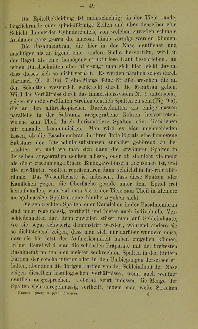 Die Ei)itelbekleidung ist melirscliiclitig; in der Tiefe runde, . lUngliclirunde oder spindeltormige Zellen und über denselben eine Scbicbt fliininerden Cylinderepitels, von welchen zuweilen schmale Ausläufer ganz gegen die inucosa hinab verfolgi: werden können. Die Basalmembran, die hier in der Nase deutlicher und mächtiger als an irgend einer andern Stelle hervortritt, wird in der Regel als eine homogene strukturlose Haut beschrieben, an feinen Durchschnitten aber überzeugt man sich hier leicht davon, dass dieses sich so nicht verhält. Es werden nämlich schon durch Hartuack Ok. 3 Obj. 7 eine Menge feine Streifen gesehen, die an den Schnitten wesentlich senkrecht durch die Membran gehen. Wird das Verhältniss durch das Immersionssystem Nr. 9 untersucht, zeigen sich die erwähnten Streifen deutlich Spalten zu sein (Fig. 9 a), die an den mikroskopischen Durchschnitten als einigermassen parallelle in der Substanz ausgegrabene Röhren hervortreten, welche zum Theil durch horizontalere Spalten oder Kanälchen mit einander kommuniciren. Man wird es hier unentschieden lassen, ob die Basalmembran in ihrer Totalität als eine homogene Substanz den Intercellularsubstanzen zimächst gehörend zu be- trachten ist, und wo man sich dann die erwähnten Spalten in derselben ausgegraben denken müsste, oder ob sie nicht vielmehr als dicht zusammengelöthete Bindegewebfasern anzusehen ist, und die erwähnten Spalten repräsentiren dann schlichthin Intertibrillär- räume. Das Wesentlichste ist indessen, dass diese Spalten oder Kanälchen gegen die Oberfläche gerade unter dem Epitel frei heraufmünden, während man sie in der Tiefe zum Theil in kleinere unregelmässige Spaltönräume hinüberzugehen sieht. Die senkrechten Spalten oder Kanälchen in der Basalmembran sind nicht regelmässig vertheilt und l)ieten auch individuelle Ver- schiedenheiten dar, denn zuweilen stösst man auf Schleimhäute, wo sie sogar schwierig denionstrirt werden, während andere sie so dichtstehen^l zeigen, dass man sich nur darüber wundern muss, dass sie bis jetzt der Aufmerksamkeit haben entgehen können. In der Regel wird man die schönsten Präparate mit der breitesten Basalmembran und den meisten senkrechten Spalten in den hintern Partien der concha inferior oder in den Umbiegungen derselben er- halten, aber auch die übrigen Partien von der Schleimhaut der Nase zeigen dieselben histologischen Verhältnisse, wenn auch weniger deutlich ausgesprochen. Ueberall zeigt indessen die Menge der Spalten sich unregelmässig vertheilt, indem man weite Strecken Heibf.ro, puerp. u. pyäni. Processe. 4