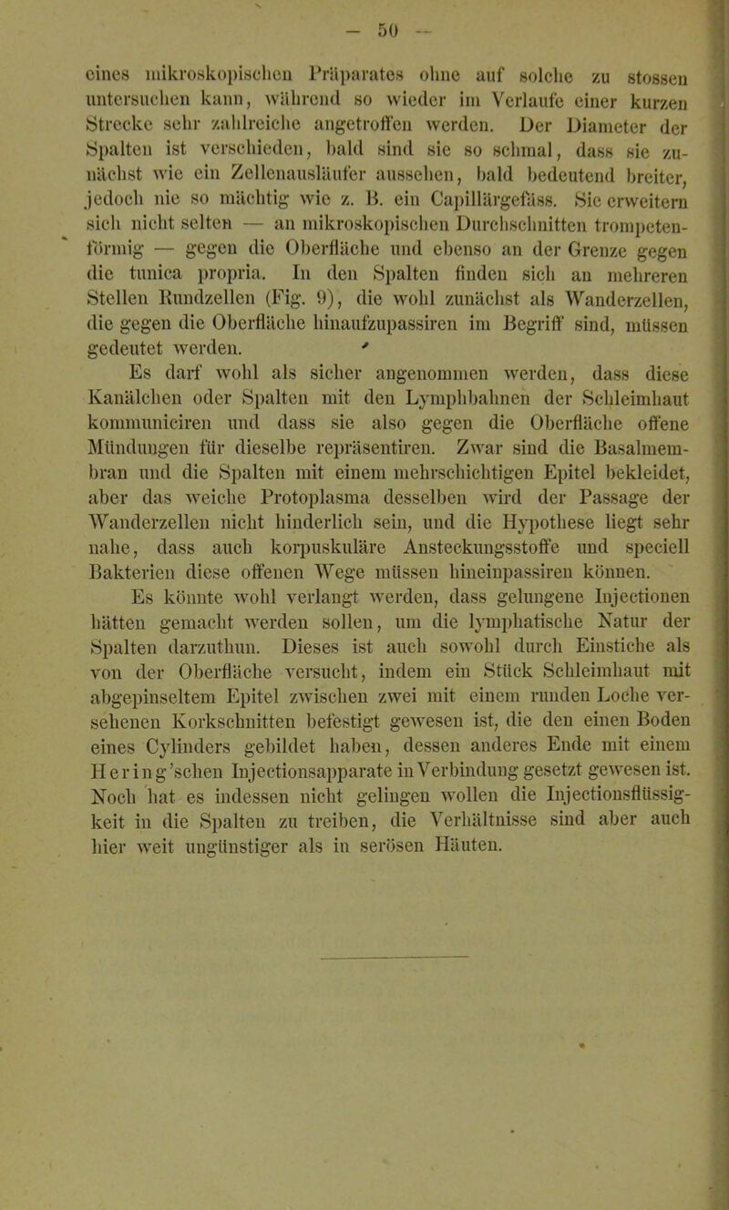 eines mikroskopischen Präparates ohne auf solclie zu stosseii untersuchen kann, während so wieder im Verlaufe einer kurzen Strecke sehr zahlreiche angetroffen werden. Der Diameter der Spalten ist verschieden, bald sind sie so schmal, dass sie zu- nächst wie ein Zellenausläufer aussehen, bald bedeutend breiter, jedoch nie so mächtig wie z. H. ein Capillärgetass. Sie erweitern sich nicht selten — an mikroskopischen Durchschnitten trompeten- förmig — gegen die 01)erfläche und ebenso an der Grenze gegen die tunica propria. In den Spalten finden sich an mehreren Stellen Kundzellen (Fig. 9), die wohl zunächst als Wanderzellen, die gegen die Oberfläche hinaufzupassiren im Begriff' sind, müssen gedeutet werden. •' Es darf wohl als sicher angenommen werden, dass diese Kanälchen oder Si)alten mit den Lymphl)ahnen der Schleimhaut kommuniciren und dass sie also gegen die Oberfläche offene Mündungen für dieselbe repräsentiren. Zwar sind die Basalmem- bran und die Spalten mit einem mehrschichtigen Epitel bekleidet, aber das weiche Protoplasma desselben wird der Passage der Wanderzelleii nicht hinderlich sein, und die Hj^^othese liegt sehr nahe, dass auch koi’puskiiläre Ansteckungsstoff'e und speciell Bakterien diese offenen Wege müssen hineinpassiren können. Es könnte wohl verlangt werden, dass gelungene Injectionen hätten gemacht werden sollen, um die lymphatische Natur der Spalten darzuthuu. Dieses ist auch sowohl durch Einstiche als von der Oberfläche versucht, indem ein Stück Schleimhaut mit abgepinseltem Epitel zwischen zwei mit einem runden Loche ver- sehenen Korkschnitten befestigt gewesen ist, die den einen Boden eines Cylinders gebildet haben, dessen anderes Ende mit einem Hering’schen Injectionsapparate in Verbindung gesetzt gewesen ist. Noch hat es indessen nicht gelingen wollen die Injectiousflüssig- keit in die Spalten zu treiben, die Verhältnisse sind aber auch hier weit ungünstiger als in serösen Häuten.