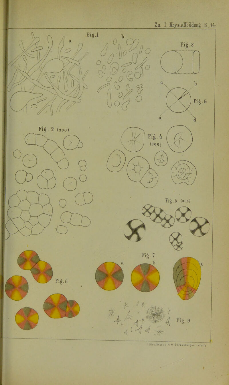 Zu 1 BrystflUbildunl S. 11-