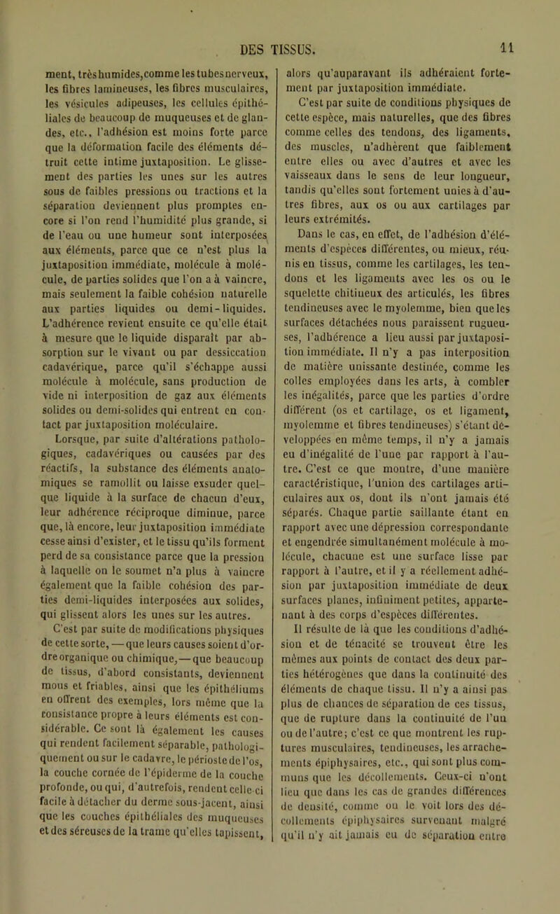 ment, très humides,comme les tubesncrveux, les fibres butineuses, les fibres musculaires, les vésicules adipeuses, les cellules épithé- liales de beaucoup de muqueuses et de glan- des, etc., l’adhésion est moins forte parce que la déformation facile des éléments dé- truit cette intime juxtaposition. Le glisse- ment des parties les unes sur les autres sous de faibles pressions ou tractions et la séparation deviennent plus promptes en- core si l’on rend l’humidité plus grande, si de l’eau ou une humeur sont interposées aux éléments, parce que ce n’est plus la juxtaposition immédiate, molécule à molé- cule, de parties solides que l'on a à vaincre, mais seulement la faible cohésion naturelle aux parties liquides ou demi-liquides. L’adhérence revient ensuite ce qu’elle était à mesure que le liquide disparaît par ab- sorption sur le vivant ou par dessiccation cadavérique, parce qu’il s'échappe aussi molécule à molécule, sans production de vide ni interposition de gaz aux éléments solides ou demi-solides qui entrent en con- tact par juxtaposition moléculaire. Lorsque, par suite d’altérations patholo- giques, cadavériques ou causées par des réactifs, la substance des éléments anato- miques se ramollit ou laisse exsuder quel- que liquide à la surface de chacun d’eux, leur adhérence réciproque diminue, parce que, là encore, leur juxtaposition immédiate cesse ainsi d’exister, et le tissu qu’ils forment perd de sa consistance parce que la pression à laquelle on le soumet n’a plus à vaincre également que la faible cohésion des par- ties demi-liquides interposées aux solides, qui glissent alors les unes sur les autres. C’est par suite de modifications physiques de cette sorte, — que leurs causes soient d’or- dre organique ou chimique,— que beaucoup de tissus, d’abord consistants, deviennent mous et friables, ainsi que les épithéliums eu offrent des exemples, lors même que la consistance propre à leurs éléments est con- sidérable. Ce sont là également les causes qui rendent facilement séparable, pathologi- quement ou sur le cadavre, le périoste de l’os la couche cornée de l’épiderme de la couche profonde, ou qui, d’autrefois, rendent celle ci facile à détacher du derme sous-jacent, ainsi que les couches épithéliales des muqueuses et des séreuses de la trame qu’elles tapissent, alors qu’auparavant ils adhéraient forte- ment par juxtaposition immédiate. C’est par suite de conditions physiques de cette espèce, mais naturelles, que des fibres comme celles des teudons, des ligaments, des muscles, n’adhèrent que faiblement eulre elles ou avec d’autres et avec les vaisseaux dans le sens de leur longueur, tandis qu’elles sont fortement unies à d’au- tres fibres, aux os ou aux cartilages par leurs extrémités. Dans le cas, en effet, de l’adhésion d’élé- ments d’espèces différentes, ou mieux, réu- nis en tissus, comme les cartilages, les ten- dons et les ligaments avec les os ou le squelette chitiueux des articulés, les fibres teudineuses avec le myolemme, bien que les surfaces détachées nous paraissent rugueu- ses, l’adhérence a lieu aussi par juxtaposi- tion immédiate. Il n’y a pas interposition de matière unissante destinée, comme les colles employées dans les arts, à combler les inégalités, parce que les parties d’ordre différent (os et cartilage, os et ligament, myolemme et fibres tendineuses) s’étant dé- veloppées en même temps, il n’y a jamais eu d’inégalité de l’une par rapport à l’au- tre. C’est ce que montre, d’une manière caractéristique, l’union des cartilages arti- culaires aux os, dout ils n’ont jamais été séparés. Chaque partie saillante étant en rapport avec une dépression correspondante et engendrée simultanément molécule à mo- lécule, chacune est une surface lisse par rapport à l’autre, et il y a réellement adhé- sion par juxtaposition immédiate de deux surfaces planes, inûuiineut petites, apparte- nant à des corps d’espèces différentes. Il résulte de là que les conditions d’adhé- sion et de ténacité se trouvent être les mêmes aux points de contact des deux par- ties hétérogènes que daus la continuité des éléments de chaque tissu. Il n’y a ainsi pas plus de chances de séparation de ces tissus, que de rupture dans la conliuuité de l’un ou de l’autre; c’cst ce que montrent les rup- tures musculaires, tendineuses, les arrache- ments épiphysaircs, etc., qui sont plus com- muns que les décollements. Ceux-ci n’ont lieu que dans les cas de grandes différences de densité, comme ou le voit lors des dé- collements épiphysaircs survenant malgré qu'il n’y ait jamais eu de séparation entre