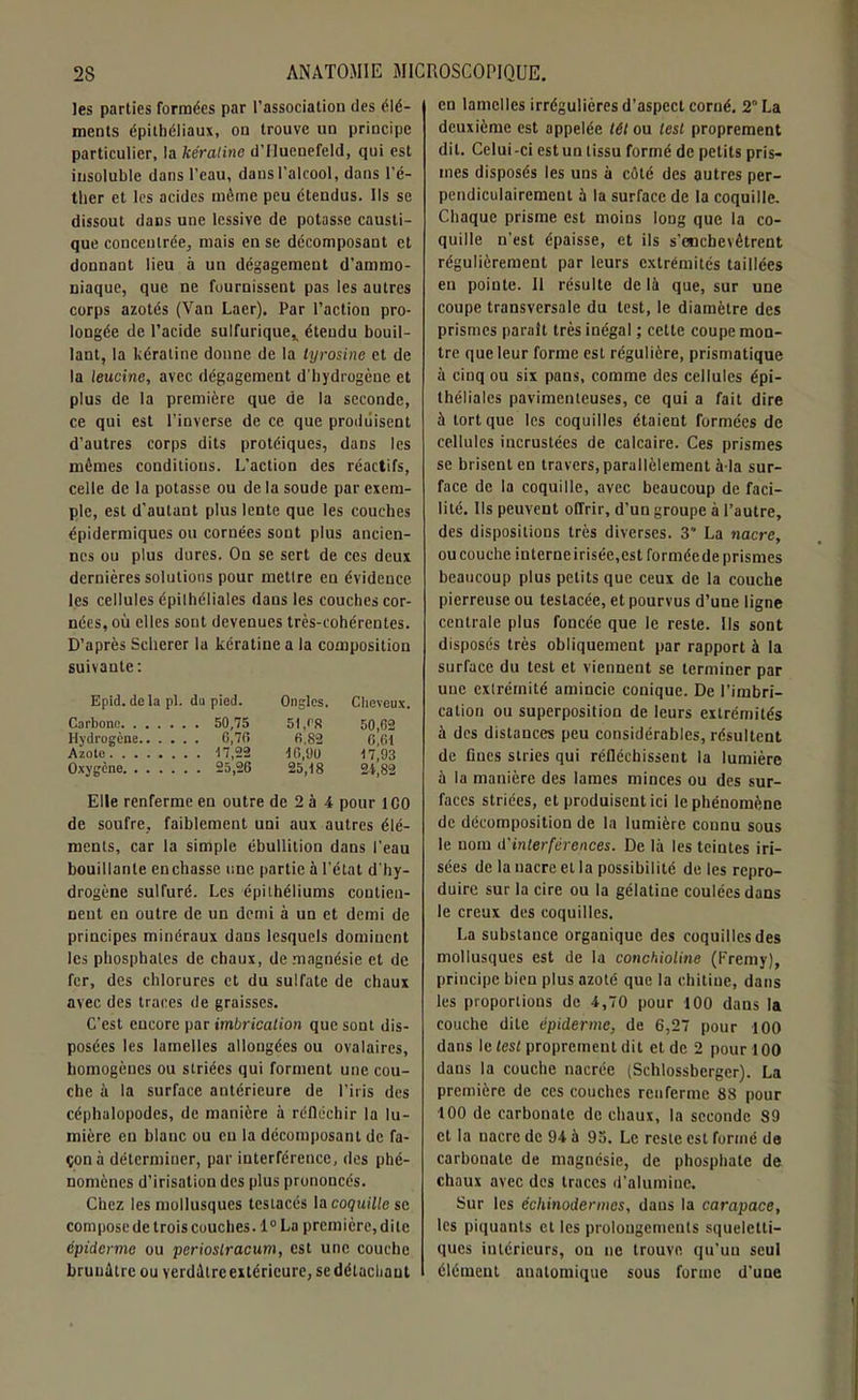 les parties formées par l’association des élé- ments épithéliaux, on trouve un principe particulier, la kéralinc d’IIucnefeld, qui est insoluble dans l'eau, dans l’alcool, dans l’é- ther et les acides même peu étendus. Ils se dissout dans une lessive de potasse causti- que concentrée, mais en se décomposant et donnant lieu à un dégagement d’ammo- niaque, que ne fournissent pas les autres corps azotés (Van Laer). Par l’action pro- longée de l’acide sulfurique* étendu bouil- lant, la kératine donne de la tyrosine et de la leucine, avec dégagement d'hydrogène et plus de la première que de la seconde, ce qui est l’inverse de ce que produisent d’autres corps dits protéiques, dans les mêmes conditions. L’action des réactifs, celle de la potasse ou de la soude par exem- ple, est d’autant plus lente que les couches épidermiques ou cornées sont plus ancien- nes ou plus dures. On se sert de ces deux dernières solutions pour mettre en évidence les cellules épithéliales dans les couches cor- nées, où elles sont devenues très-cohérentes. D’après Schcrer la kératine a la composition suivante: Epid. de la pl. du pied. Ongles. Cheveux. Carbone 50,75 5t,cs 50,62 Hydrogène 6,7fi fi.82 6,fit Azote 17,22 10,00 17,93 Oxygène 25,26 25,18 2i,82 Elle renferme en outre de 2 à 4 pour ICO de soufre, faiblement uni aux autres élé- ments, car la simple ébullition dans l’eau bouillante enchâsse une partie à l'état d'hy- drogène sulfuré. Les épithéliums contien- nent en outre de un demi à un et demi de principes minéraux dans lesquels dominent les phosphates de chaux, de magnésie et de fer, des chlorures et du sulfate de chaux avec des traces de graisses. C’est encore par imbrication que sont dis- posées les lamelles allongées ou ovalaires, homogènes ou striées qui forment une cou- che à la surface antérieure de l’iris des céphalopodes, de manière à réfléchir la lu- mière en blanc ou eu la décomposant de fa- çon à déterminer, par interférence, des phé- nomènes d’irisation des plus prononcés. Chez les mollusques testacés la coquille se compose de trois couches. 1° La première, dite épiderme ou periostracum, est une couche brunâtre ou verdiltrcextérieure, sedétachaut en lamelles irrégulières d’aspect corné. 2 La deuxième est appelée têt ou lest proprement dit. Celui-ci est un tissu formé de petits pris- mes disposés les uns à côté des autres per- pendiculairement à la surface de la coquille. Chaque prisme est moins long que la co- quille n’est épaisse, et ils s’enchevêtrent régulièrement par leurs extrémités taillées en pointe. 11 résulte de là que, sur une coupe transversale du test, le diamètre des prismes paraît très inégal ; cette coupe mon- tre que leur forme est régulière, prismatique à cinq ou six pans, comme des cellules épi- théliales pavimenteuses, ce qui a fait dire à tort que les coquilles étaient formées de cellules incrustées de calcaire. Ces prismes se brisent en travers, parallèlement à la sur- face de la coquille, avec beaucoup de faci- lité. Ils peuvent offrir, d’un groupe à l’autre, des dispositions très diverses. 3 La nacre, ou couche interne irisée,est formée de prismes beaucoup plus petits que ceux de la couche pierreuse ou testacée, et pourvus d’une ligne centrale plus foncée que le reste. Ils sont disposés très obliquement par rapport à la surface du test et viennent se terminer par une exlrémité amincie conique. De l’imbri- cation ou superposition de leurs extrémités à des distances peu considérables, résultent de fines stries qui réfléchissent la lumière à la manière des lames minces ou des sur- faces striées, et produisent ici le phénomène de décomposition de la lumière counu sous le nom d'interférences. De là les teintes iri- sées de la nacre et la possibilité de les repro- duire sur la cire ou la gélatine coulées dans le creux des coquilles. La substance organique des coquilles des mollusques est de la conchioline (Fremy), principe bien plus azoté que la chitine, dans les proportions de 4,70 pour 100 dans la couche dite épiderme, de 6,27 pour 100 dans le test proprement dit et de 2 pour 100 daus la couche nacrée (Schlossberger). La première de ces couches renferme 88 pour 100 de carbonate de chaux, la seconde 89 et la nacre de 94 à 93. Le reste est formé de carbonate de magnésie, de phosphate de chaux avec des traces d’alumine. Sur les échinodermcs, dans la carapace, les piquants et les prolongements squeletti- ques intérieurs, ou ne trouve qu’un seul élément anatomique sous forme d’une