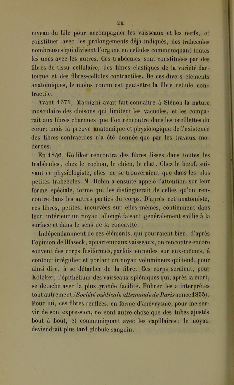 niveau du hile pour accompagner les vaisseaux et les nerfs, et constituer avec les prolongements déjà indiqués, des trabécules nombreuses qui divisent l’organe en cellules communiquant toutes les unes avec les autres. Ces trabécules sont constituées par des fibres de tissu cellulaire, des fibres élastiques de la variété dar- toique et des fibres-cellules contractiles. De ces divers éléments anatomiques, le moins connu est peut-être la fibre cellule con- tractile. Avant 1(571, Malpighi avait fait connaître à Sténon la nature musculaire des cloisons qui limitent les vacuoles, et les compa- rait aux fibres charnues que l’on rencontre dans les oreillettes du cœur; mais la preuve anatomique et physiologique de l’existence des fibres contractiles n’a été donnée que par les travaux mo- dernes. En 18Z|6, Kolliker rencontra des fibres lisses dans toutes les trabécules, chez le cochon, le chien, le chat. Chez le bœuf, sui- vant ce physiologiste, elles ne se trouveraient que dans les plus petites trabécules. M. Robin a ensuite appelé l’attention sur leur forme spéciale, forme qui les distinguerait de celles qu’on ren- contre dans les autres parties du corps. D’après cet anatomiste, ces fibres, petites, incurvées sur elles-mêmes, contiennent dans leur intérieur un noyau allongé faisant généralement saillie à la surface et dans le sens de la concavité. Indépendamment de ces éléments, qui pourraient bien, d’après l’opinion deHlaseck, appartenir aux vaisseaux, on rencontre encore souvent des corps fusiformes, parfois enroulés sur eux-mêmes, à contour irrégulier et portant un noyau volumineux qui tend, pour ainsi dire, à se détacher de la fibre. Ces corps seraient, pour Kolliker, l’épithélium des vaisseaux spléniques qui, après la mort, se détache avec la plus grande facilité. Führer les a interprétés tout autrement.(5'oae7e médicale allemandede Pamannéel855). Pour lui, ces fibres renflées, en forme d’anévrysme, pour me ser- vir de son expression, ne sont autre chose que des tubes ajustés bout à bout, et communiquant avec les capillaires : le noyau deviendrait plus lard globide sanguin.