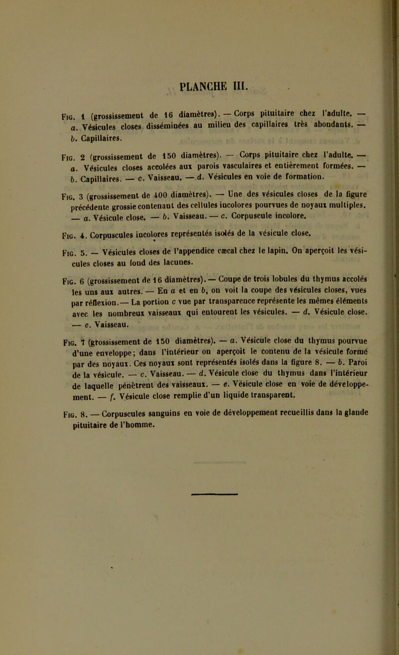 Fig. 1 (grossissement de 16 diamètres). —Corps pituitaire chez l’adulte. — a. Vésicules closes disséminées au milieu des capillaires très abondants. — h. Capillaires. Fig. 2 (grossissement de 150 diamètres). — Corps pituitaire chez l’adulte. — a. Vésicules closes accolées aux parois vasculaires et entièrement formées. — b. Capillaires. c. Vaisseau. —d. Vésicules en voie de formation. Fig. 3 (grossissement de 400 diamètres). — Une des vésicules closes de la figure précédente grossie contenant des cellules incolores pourvues de noyaux multiples. O. Vésicule close. — b. Vaisseau. — c. Corpuscule incolore. Fig. 4. Corpuscules incolores représentés isolés de la vésicule close. Fig. 5. — Vésicules closes de l’appendice cæcal chez le lapin. On aperçoit les vési- cules closes au fond des lacunes. Fie. 6 (grossissement de 16 diamètres). — Coupe de trois lobules du thymus accolés les uns aux autres. — En a et en b, on voit la coupe des vésicules closes, vues par réflexion.— La portion c vue par transparence représente les mêmes éléments avec les nombreux vaisseaux qui entourent les vésicules. — d. Vésicule close. — e. Vaisseau. Fig. 7 (grossissement de 150 diamètres). — a. Vésicule close du thymus pourvue d’une enveloppe ; dans l'intérieur on aperçoit le contenu de la vésicule formé par des noyaux. Ces noyaux sont représentés isolés dans la figure 8. — b. Paroi de la vésicule. — c. Vaisseau. — d. Vésicule close du thymus dans l’intérieur de laquelle pénètrent des vaisseaux. — e. Vésicule close en voie de développe- ment. — f. Vésicule close remplie d’un liquide transparent. Fig. 8. — Corpuscules sanguins en voie de développement recueillis dans la glande pituitaire de l’homme.