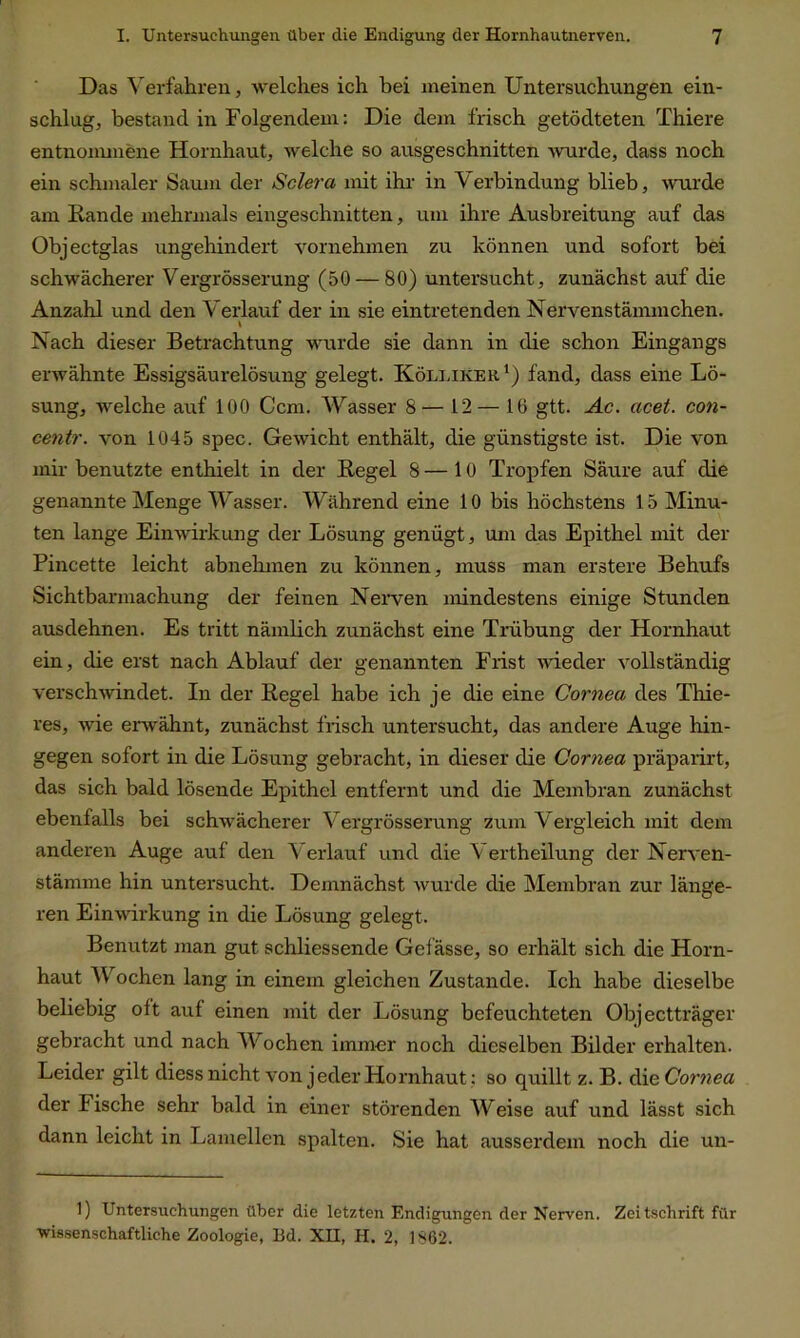 Das Verfahren, welches ich bei meinen Untersuchungen ein- schlug, bestand in Folgendem: Die dem frisch getödteten Thiere entnommene Hornhaut, welche so ausgeschnitten wurde, dass noch ein schmaler Saum der Sclera mit ihr in Verbindung blieb, wurde am Rande mehrmals eingeschnitten, um ihre Ausbreitung auf das Objectglas ungehindert vornehmen zu können und sofort bei schwächerer Vergrösserung (50 — 80) untersucht, zunächst auf die Anzahl und den Verlauf der in sie eintretenden Nervenstämmchen. \ Nach dieser Betrachtung wurde sie dann in die schon Eingangs erwähnte Essigsäurelösung gelegt. Kölliker1) fand, dass eine Lö- sung, welche auf 100 Ccm. Wasser 8— L2 —16 gtt. Ac. acet. con- centr. von 1045 spec. Gewicht enthält, die günstigste ist. Die von mir benutzte enthielt in der Regel 8 — 10 Tropfen Säure auf die genannte Menge Wasser. Während eine 10 bis höchstens 15 Minu- ten lange Einwirkung der Lösung genügt, um das Epithel mit der Pincette leicht abnehmen zu können, muss man erstere Behufs Sichtbarmachung der feinen Nerven mindestens einige Stunden ausdehnen. Es tritt nämlich zunächst eine Trübung der Hornhaut ein, die erst nach Ablauf der genannten Frist wieder vollständig verschwindet. In der Regel habe ich je die eine Cornea des Thie- res, wie erwähnt, zunächst frisch untersucht, das andere Auge hin- gegen sofort in die Lösung gebracht, in dieser die Cornea präparirt, das sich bald lösende Epithel entfernt und die Membran zunächst ebenfalls bei schwächerer Vergrösserung zum Vergleich mit dem anderen Auge auf den Verlauf und die Vertheilung der Nerven- stämme hin untersucht. Demnächst wurde die Membran zur länge- ren Einwirkung in die Lösung gelegt. Benutzt man gut schliessende Gcfässe, so erhält sich die Horn- haut Wochen lang in einem gleichen Zustande. Ich habe dieselbe beliebig oft auf einen mit der Lösung befeuchteten Objectträger gebracht und nach Wochen immer noch dieselben Bilder erhalten. Leider gilt diess nicht von jeder Hornhaut: so quillt z. B. die Cornea der Fische sehr bald in einer störenden Weise auf und lässt sich dann leicht in Lamellen spalten. Sie hat ausserdem noch die un- 1) Untersuchungen über die letzten Endigungen der Nerven. Zeitschrift für wissenschaftliche Zoologie, Bd. XII, H. 2, 1S62.