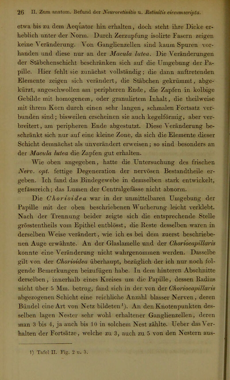 etwa bis zu dem Aequator hin. erhalten, doch steht ihre Dicke er- heblich unter der Norm. Durch Zerzupfung isolirte Fasern zeigen keine Veränderung. Von Ganglienzellen sind kaum Spuren vor- handen und diese nur an der Macula lutea. Die Veränderungen der Stäbchenschieht beschränken sich auf die Umgebung der Pa- pille. Hier fehlt sie zunächst vollständig; die dann auftretenden Elemente zeigen sich verändert, die Stäbchen gekrümmt, abge- kürzt, angeschwollen am peripheren Ende, die Zapfen in kolbige Gebilde mit homogenem, oder granulirtem Inhalt, die theilweise mit ihrem Korn durch einen sehr langen, schmalen Fortsatz ver- bunden sind; bisweilen erscheinen sie auch kegelförmig, aber ver- breitert, am peripheren Ende abgestutzt. Diese Veränderung be- schränkt sich nur auf eine kleine Zone, da sich die Elemente dieser Schicht demnächst als unverändert erweisen; so sind besonders an der Macula lutea die Zapfen gut erhalten. Wie oben angegeben, hatte die Untersuchung des frischen Nerv. opt. fettige Degeneration der nervösen Bestandtheile er- geben. Ich fand das Bindegewebe in demselben stark entwickelt, gefässreich; das Lumen der Centralgefässe nicht abnorm. Die Chorioidea war in der unmittelbaren Umgebung der Papille mit der oben beschriebenen Wucherung leicht verklebt. Nach der Trennung beider zeigte sich die entsprechende Stelle grösstentheils vom Epithel entblösst, die Beste desselben waren in derselben Weise verändert, wie ich es bei dem zuerst beschriebe- nen Auge erwähnte. An der Glaslamelle und der Choriocapillaris konnte eine Veränderung nicht wahrgenommen werden. Dasselbe gilt von der Cliorioulea überhaupt, bezüglich der ich nur noch fol- gende Bemerkungen beizufügen habe. In dem hinteren Abschnitte derselben, innerhalb eines Kreises um die Papille, dessen Radius nicht über 5 Mm. betrug, fand sich in der von der Choriocapillaris abgezogenen Schicht eine reichliche Anzahl blasser Nerven, deren Bündel eine Art von Netz bildeten1). An den Knotenpunkten des- selben lagen Nester sehr wohl erhaltener Ganglienzellen, deren man 3 bis 4, ja auch bis 10 in solchem Nest zählte. Ueber das\ er- halten der Fortsätze, welche zu 3, auch zu 5 von den Nestern aus- I) Tafel II. Fig. 2 u. 3.