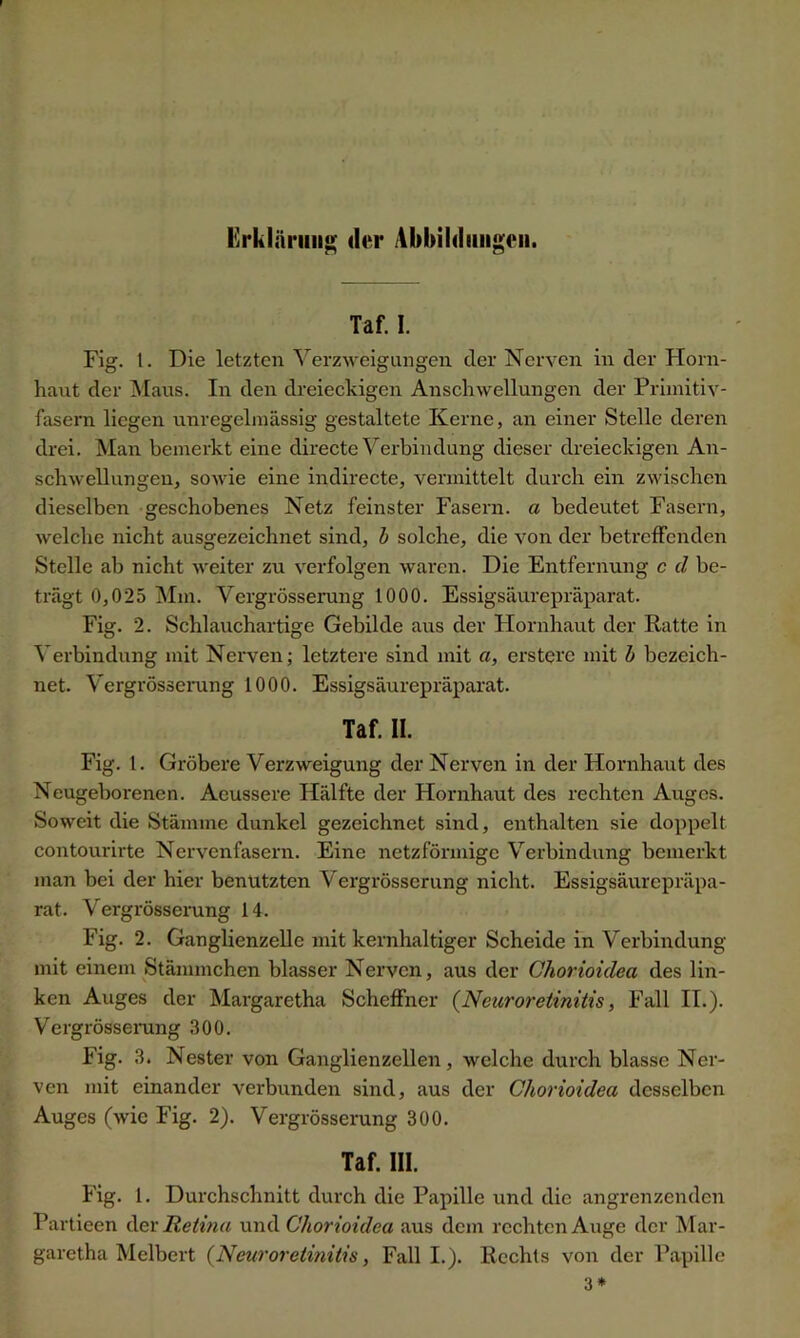 Erklärung der Abbildungen. Taf. I. Fig. t. Die letzten Verzweigungen der Nerven in der Horn- haut der Maus. In den dreieckigen Anschwellungen der Primitiv- fasern liegen unregelmässig gestaltete Kerne, an einer Stelle deren drei. Man bemerkt eine directe Verbindung dieser dreieckigen An- schwellungen, sowie eine indirecte, vermittelt durch ein zwischen dieselben geschobenes Netz feinster Fasern, a bedeutet Fasern, welche nicht ausgezeichnet sind, b solche, die von der betreffenden Stelle ab nicht weiter zu verfolgen waren. Die Entfernung c d be- trägt 0,025 Mm. Vergrösserung 1000. Essigsäurepräparat. Fig. 2. Schlauchartige Gebilde aus der Hornhaut der Ratte in Verbindung mit Nerven; letztere sind mit a, ersterc mit b bezeich- net. Vergrösserung 1000. Essigsäurepräparat. Taf. II. Fig. 1. Gröbere Verzweigung der Nerven in der Hornhaut des Neugeborenen. Aeussere Hälfte der Hornhaut des rechten Auges. Soweit die Stämme dunkel gezeichnet sind, enthalten sie doppelt contourirte Nervenfasern. Eine netzförmige Verbindung bemerkt man bei der hier benutzten Vergrösserung nicht. Essigsäurepräpa- rat. Vergrösserung 14. Fig. 2. Ganglienzelle mit kernhaltiger Scheide in Verbindung mit einem Stämmchen blasser Nerven, aus der Chorioidea des lin- ken Auges der Margaretha Scheffner (Ncuroretinitis, Fall II.). Vergrösserung 300. Fig. 3. Nester von Ganglienzellen, welche durch blasse Ner- ven mit einander verbunden sind, aus der Chorioidea desselben Auges (wie Fig. 2). Vergrösserung 300. Taf. III. Fig. 1. Durchschnitt durch die Papille und die angrenzenden Partieen der Retina und Chorioidea aus dem rechten Auge der Mar- garetha Melbert (Ncuroretinitis, Fall I.). Rechts von der Papille