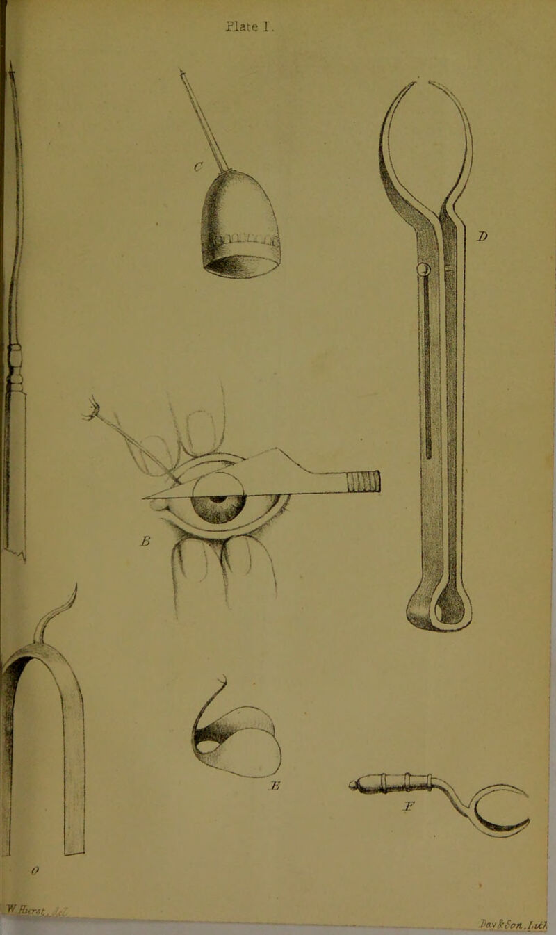 Plate 1. yf DayiSen.I.Ul