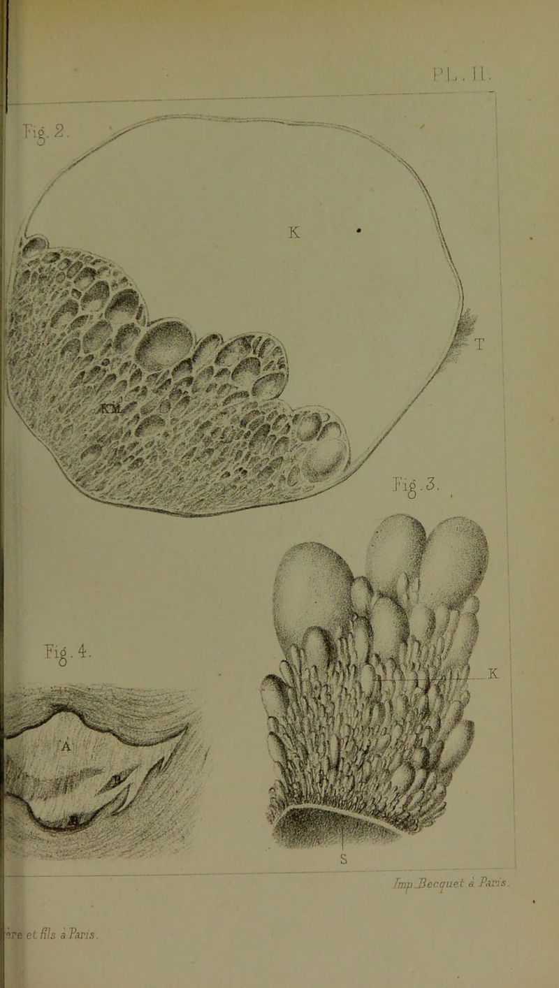 s TmpJiccquet à P-tris. erc et fils a Paris.
