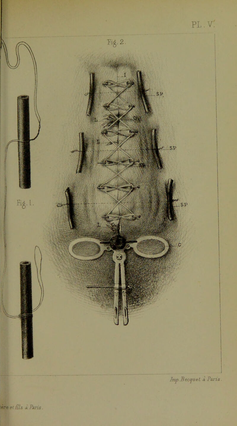 ere et fils a Paris. i