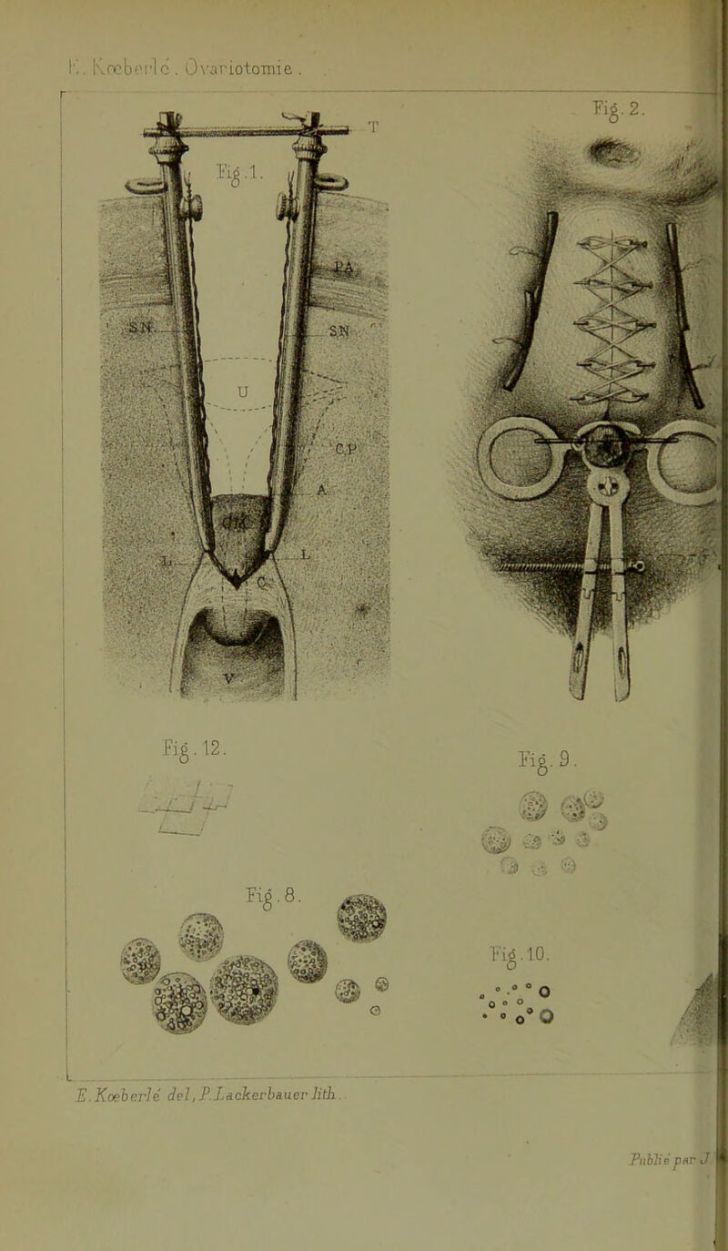 » I'.. Ivocb'.M'lc . ÛN’ariotoTnie . O O O O » O O O L E.Kœharlé del, P.Ldckerhaiier hth