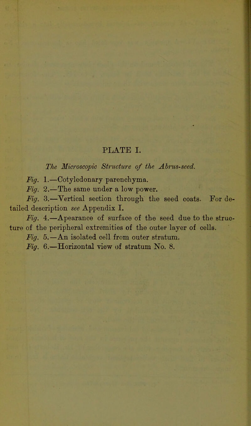 PLATE I. The Microscopic Structure of the Abrus-seed. Fig. 1.—Cotyledonary parenchyma. Fig. 2.—The same under a low power. Fig. 3.—Yertical section through the seed coats. For de tailed description see Appendix I. Fig. 4.—Apearance of surface of the seed due to the struo ture of the peripheral extremities of the outer layer of cells. Fig. 5.—An isolated cell from outer stratum.