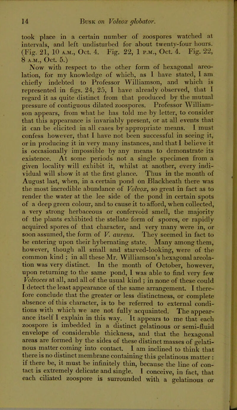 took place in a certain number of zoospores watched at intervals, and left undisturbed for about twenty-four hours. (Fi. 21, 10 A.M., Oct. 4. Fig. 22, 1 p.m., Oct. 4. Fig. 22, 8 A.M., Oct. 5.) Now with respect to the other form of hexagonal areo- lation, for my knowledge of which, as I have stated, 1 am chiefly indebted to Professor Williamson, and which is represented in figs. 24, 25, I have already observed, that 1 regard it as quite distinct from that produced by the mutual pressure of contiguous dilated zoospores. Professor William- son appears, from what he has told me by letter, to consider that this appearance is invariably present, or at all events that it can be elicited in all cases by appropriate means. I must confess however, that I have not been successful in seeing it, or in producing it in very many instances, and that I believe it is occasionally impossible by any means to demonstrate its existence. At some periods not a single specimen from a given locality will exhibit it, whilst at another, every indi- vidual will show it at the first glance. Thus in the month of August last, when, in a certain pond bn Blackheath there was the most incredible abundance of Volvox, so great in fact as to render the water at the lee side of the pond in certain spots of a deep green colour, and to cause it to afford, when collected, a very strong herbaceous or confervoid smell, the majority of the plants exhibited the stellate form of spores, or rapidly acquired spores of that character, and very many were in, or soon assumed, the form of V aureus. They seemed in fact to be entering upon their hybemating state. Many among them, however, though all small and starved-looking, were of the common kind ; in all these Mr. Williamson’s hexagonal areola- tion was very distinct. In the month of October, however, upon returning to the same pond, I was able to find very few Volvoces at all, and all of the usual kind ; in none of these could I detect the least appearance of the same arrangement. I there- fore conclude that the greater or less distinctness, or complete absence of this character, is to be referred to external condi- tions with which we are not fully acquainted. The appear- ance itself I explain in this way. It appears to me that each zoospore is imbedded in a distinct gelatinous or semi-fluid envelope of considerable thickness, and that the hexagonal areas are formed by the sides of these distinct masses of gelati- nous matter coming into contact. I am inclined to think that there is no distinct membrane containing this gelatinous matter : if there be, it must be infinitely thin, because the line of con- tact is extremely delicate and single. I conceive, in fact, that each ciliated zoospore is surrounded with a gelatinous or