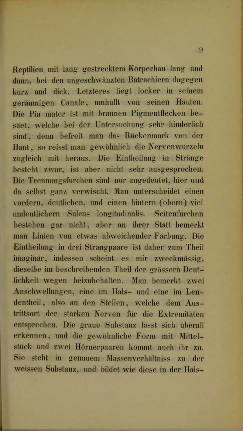 Reptilien mit lang' gestrecktem Körperbau lang- und dünn, bei den ungeschwänzten ßatrachiern dagegen kurz und dick. Letzteres liegt locker in seinem geräumigen Canale, umhüllt von seinen Häuten. Die Pia mater ist mit braunen Pigmentflecken be- säet, welche bei der Untersuchung sehr hinderlich sind, denn befreit man das Rückenmark von der Haut, so reisst man gewöhnlich die Nervenwurzeln zugleich mit heraus. Die Eintheilung in Stränge besteht zwar, ist aber nicht sehr ausgesprochen. Die Trennungsfurchen sind nur angedeutet, hier und da selbst ganz verwischt. Man unterscheidet einen vordem, deutlichen, und einen hintern (obern) viel undeutlichem Sulcus longitudinalis. Seitenfurchen bestehen gar nicht, aber an ihrer Statt bemerkt man Linien von etwas abweichender Färbung. Die Eintheilung in drei Strangpaare ist daher zum Theil imaginär, indessen scheint es mir zweckmässig, dieselbe im beschreibenden Theil der grossem Deut- lichkeit wegen beizubehalten. Man bemerkt zwei Anschwellungen, eine im Hals- und eine im Len— dentheil, also an den Stellen, welche dem Aus- trittsort der starken Nerven für die Extremitäten entsprechen. Die graue Substanz lässt sich überall erkennen, und die gewöhnliche Form mit Mittel— stück und zwei Hörnerpaaren kommt auch ihr zu. Sie steht in genauem Massenverhältniss zu der weissen Substanz, und bildet wie diese in der Hals-