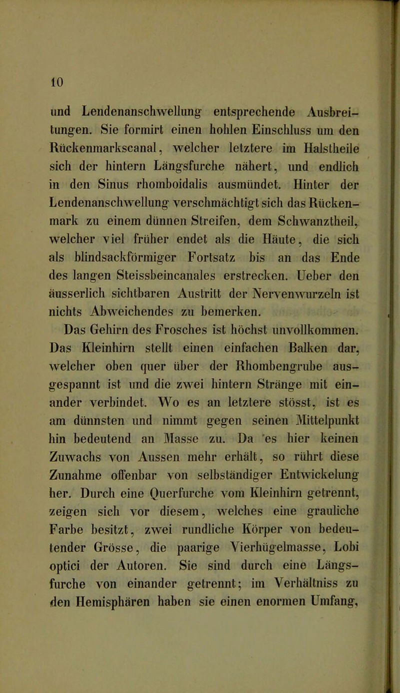 und Lendenanschwelliing entsprechende Ausbrei- tungen. Sie formirt einen hohlen Einschluss um den Rückenmarkscanal, welcher letztere im Halstheile sich der hintern Längsfurche nähert, und endlich in den Sinus rhomboidalis ausmündet. Hinter der Lendenanschwellung verschmächtigt sich das Rücken- mark zu einem dünnen Streifen, dem Schwanztheil, welcher viel früher endet als die Häute, die sich als blindsackförmiger Fortsatz bis an das Ende des langen Steissbeincanales erstrecken, lieber den äusserlich sichtbaren Austritt der Nervenwurzeln ist nichts Abweichendes zu bemerken. Das Gehirn des Frosches ist höchst unvollkommen. Das Kleinhirn stellt einen einfachen Balken dar, welcher oben quer über der Rhombengrube aus- gespannt ist und die zwei hintern Stränge mit ein- ander verbindet. Wo es an letztere stösst, ist es am dünnsten und nimmt gegen seinen Mittelpunkt hin bedeutend an Masse zu. Da es hier keinen Zuwachs von Aussen mehr erhält, so rührt diese Zunahme offenbar von selbständiger Entwickelung her. Durch eine Querfurche vom Kleinhirn getrennt, zeigen sich vor diesem, welches eine grauliche Farbe besitzt, zwei rundliche Körper von bedeu- tender Grösse, die paarige Vierhügelmasse, Lobi optici der Autoren. Sie sind durch eine Längs- furche von einander getrennt; im Verhältniss zu den Hemisphären haben sie einen enormen Umfang,