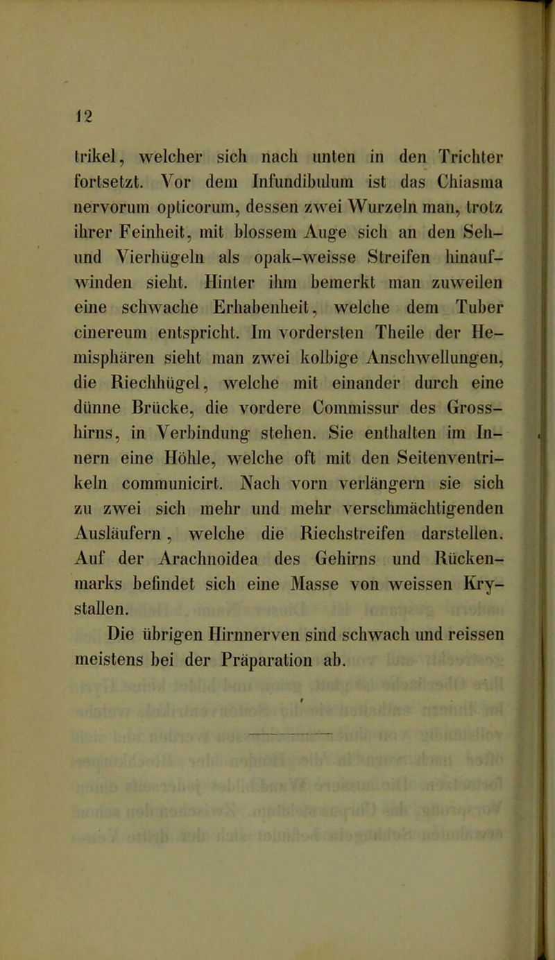 trikel, welcher sich nach unten in den Trichter fortsetzt. Vor dem Infundibidum ist das Chiasma nervorum oplicorum, dessen zwei Wurzeln man, trotz ihrer Feinheit, mit blossem Auge sich an den Seh- end Vierhügeln als opak-weisse Streifen hinauf- winden sieht. Hinter ihm bemerkt man zuweilen eine schwache Erhabenheit, welche dem Tuber cinereum entspricht. Im vordersten Theile der He- misphären sieht man zwei kolbige Anschwellungen, die Riechhiigel, welche mit einander durch eine dünne Brücke, die vordere Commissur des Gross- hirns, in Verbindung stehen. Sie enthalten im In- nern eine Höhle, welche oft mit den Seitenvenlri- keln communicirt. Nach vorn verlängern sie sich zu zwei sich mehr und mehr verschmächtigenden Ausläufern, welche die Riechstreifen darstellen. Auf der Arachnoidea des Gehirns und Rücken- marks befindet sich eine Masse von weissen Kry- stallen. Die übrigen Hirnnerven sind schwach und reissen meistens bei der Präparation ab.