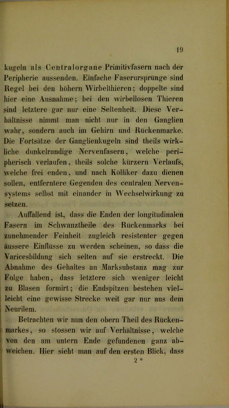 kugeln als Centralorgane Primitivfasern nach der Peripherie aussenden. Einfache Faserursprtinge sind Regel hei den hohem Wirbelthieren; doppelte sind hier eine Ausnahme; hei den wirbellosen Thieren sind letztere gar nur eine Seltenheit. Diese Ver- hältnisse nimmt man nicht nur in den Ganglien wahr, sondern auch im Gehirn und Rückenmarke. Die Fortsätze der Ganglienkugeln sind theils wirk- liche dunkelrandige Nervenfasern, welche peri- pherisch verlaufen, theils solche kürzern Verlaufs, welche frei enden, und nach Kölliker dazu dienen sollen, entferntere Gegenden des centralen Nerven- systems selbst mit einander in Wechselwirkung zu setzen. Auffallend ist, dass die Enden der longitudinalen Fasern im Schwanztheile des Rückenmarks bei zunehmender Feinheit zugleich resistenter gegen äussere Einflüsse zu werden scheinen, so dass die Varicesbildung sich selten auf sie erstreckt. Die Abnahme des Gehaltes an Marksubstanz mag zur Folge haben, dass letztere sich weniger leicht 1 zu Blasen formirt; die Endspitzen bestehen viel- : leicht eine gewisse Strecke weit gar nur aus dem i Neurilem. Betrachten wir nun den obern Theil des Rücken- markes, so slossen wir auf Verhältnisse, welche von den am untern Ende gefundenen ganz ah- weichen. Hier sieht man auf den ersten Blick, dass 2 *