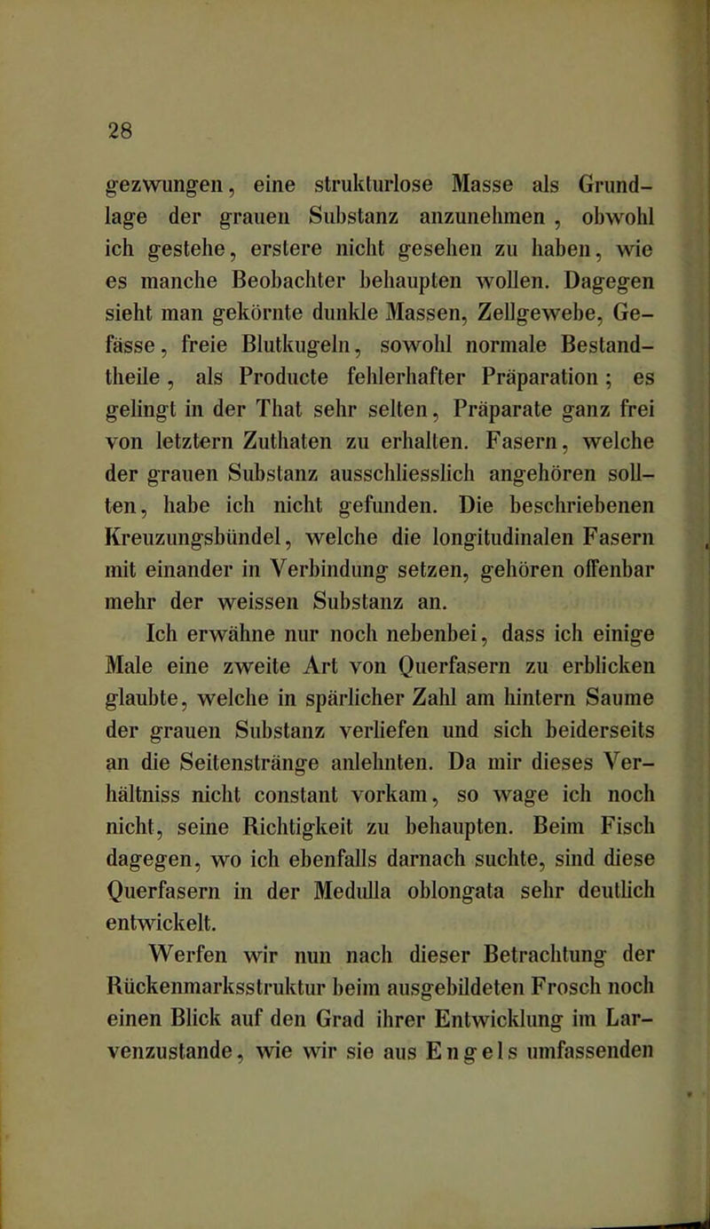 gezwungen, eine strukturlose Masse als Grund- lage der grauen Substanz anzunehmen , obwohl ich gestehe, erslere nicht gesehen zu haben, wie es manche Beobachter behaupten wollen. Dagegen sieht man gekörnte dunkle Massen, Zellgewebe, Ge- fässe, freie Blutkugeln, sowohl normale Bestand- theile, als Producte fehlerhafter Präparation; es gelingt in der That sehr selten, Präparate ganz frei von letztem Zuthaten zu erhalten. Fasern, welche der grauen Substanz ausschliesslich angehören soll- ten, habe ich nicht gefunden. Die beschriebenen Kreuzungsbündel, welche die longitudinalen Fasern mit einander in Verbindung setzen, gehören offenbar mehr der weissen Substanz an. Ich erwähne nur noch nebenbei, dass ich einige Male eine zweite Art von Querfasern zu erblicken glaubte, welche in spärlicher Zahl am hintern Saume der grauen Substanz verliefen und sich beiderseits an die Seitenstränge anlehnten. Da mir dieses Ver- hältnis nicht constant vorkam, so wage ich noch nicht, seine Richtigkeit zu behaupten. Beim Fisch dagegen, wo ich ebenfalls darnach suchte, sind diese Querfasern in der Medulla oblongata sehr deutlich entwickelt. Werfen wir nun nach dieser Betrachtung der Rückenmarksstruktur beim ausgebildeten Frosch noch einen Blick auf den Grad ihrer Entwicklung im Lar- venzustande , wie wir sie aus Engels umfassenden