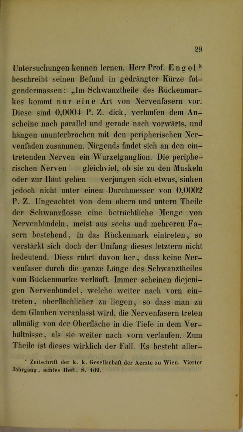 Untersuchungen kennen lernen. Herr Prof. Engel* beschreibt seinen Befund in gedrängter Kürze fol- genderinassen: „Im Schwanztheile des Rückenmar- kes kommt nur eine Art von Nervenfasern vor. Diese sind 0,0004 P. Z. dick, verlaufen dem An- scheine nach parallel und gerade nach vorwärts, und hängen ununterbrochen mit den peripherischen Ner- venfäden zusammen. Nirgends findet sich an den ein- tretenden Nerven ein Wurzelganglion. Die periphe- rischen Nerven — gleichviel, ob sie zu den Muskeln oder zur Haut gehen — verjüngen sich etwas, sinken jedoch nicht unter einen Durchmesser von 0,0002 P. Z. Ungeachtet von dem obern und untern Theile der Schwanzflosse eine beträchtliche Menge von Nervenbündeln, meist aus sechs und mehreren Fa- sern bestehend, in das Rückenmark eintreten, so verstärkt sich doch der Umfang dieses letztem nicht bedeutend. Diess rührt davon her, dass keine Ner- venfaser durch die ganze Länge des Schwanztheiles vom Rückenmarke verläuft. Immer scheinen diejeni- gen Nervenbündel, welche weiter nach vorn ein- treten, oberflächlicher zu liegen, so dass man zu dem Glauben veranlasst wird, die Nervenfasern treten allmälig von der Oberfläche in die Tiefe in dem Ver- hältnisse , als sie weiter nach vorn verlaufen. Zum Theile ist dieses wirklich der Fall. Es besteht aller- Zeitschrifl der k. k. Gesellschaft der Aerzte zu Wien. Vierter Jahrgang, achtes Heft, S. J09.