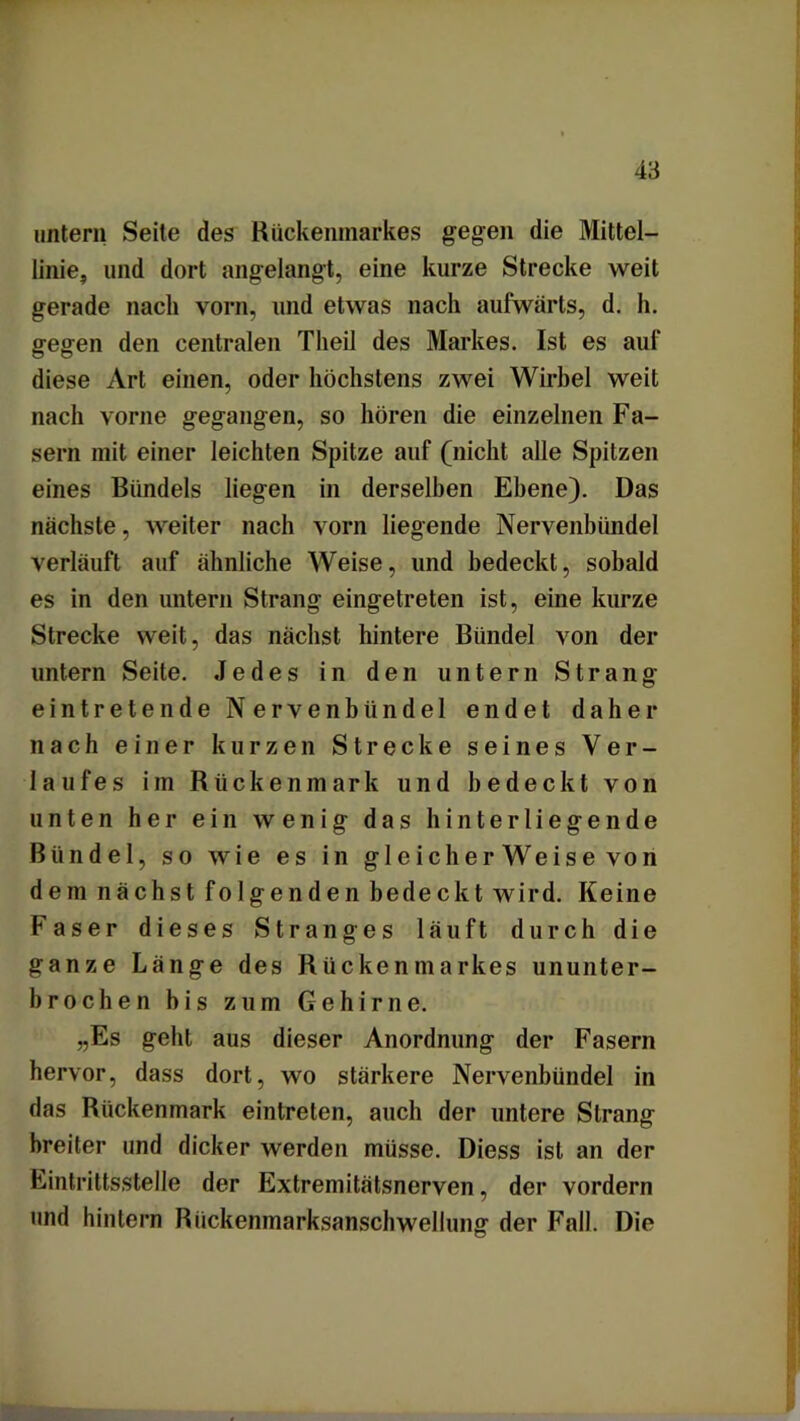 untern Seite des Rückenmarkes gegen die Mittel- linie, und dort angelangt, eine kurze Strecke weit gerade nach vorn, und etwas nach aufwärts, d. h. gegen den centralen Tlieil des Markes. Ist es auf diese Art einen, oder höchstens zwei Wirbel weit nach vorne gegangen, so hören die einzelnen Fa- sern mit einer leichten Spitze auf (nicht alle Spitzen eines Bündels liegen in derselben Ebene). Das nächste, weiter nach vorn liegende Nervenbündel verläuft auf ähnliche Weise, und bedeckt, sobald es in den untern Strang eingetreten ist, eine kurze Strecke weit, das nächst hintere Bündel von der untern Seite. Jedes in den untern Strang eintretende Nervenbündel endet daher nach einer kurzen Strecke seines Ver- laufes im Rückenmark und bedeckt von unten her ein wenig das hinterliegende Bündel, so wie es in gleicherweise von dem nächst folgenden bedeckt wird. Keine Faser dieses Stranges läuft durch die ganze Länge des Rückenmarkes ununter- brochen bis zum Gehirne. „Es geht aus dieser Anordnung der Fasern hervor, dass dort, wo stärkere Nervenbündel in das Rückenmark eintreten, auch der untere Strang breiter und dicker werden müsse. Diess ist an der Eintrittsstelle der Extremitätsnerven, der vordem und hintern Rückenmarksanschwellung der Fall. Die