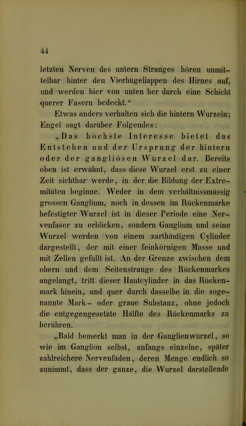 letzten Nerven des untern Stranges hören unmit- telbar hinter den Vierhügellappen des Hirnes auf, und werden hier von unten her durch eine Schicht querer Fasern bedeckt.“ Etwas anders verhalten sich die hintern Wurzeln; Engel sagt darüber Folgendes: „Das höchste Interesse bietet das Entstehen und der Ursprung der hintern oder der gangliösen Wurzel dar. Bereits oben ist erwähnt, dass diese Wurzel erst zu einer Zeit sichtbar werde, in der die Bildung der Extre- mitäten beginne. Weder in dem verhältnissmässig grossen Ganglium, noch in dessen im Rückenmarke befestigter Wurzel ist in dieser Periode eine Ner- venfaser zu erblicken, sondern Ganglium und seine Wurzel werden von einem zarthäutigen Cylinder dargestellt, der mit einer feinkörnigen Masse und mit Zellen gefüllt ist. An der Grenze zwischen dem obern und dem Seitenstrange des Rückenmarkes angelangt, tritt dieser Hautcylinder in das Rücken- mark hinein, und quer durch dasselbe in die soge- nannte Mark- oder graue Substanz, ohne jedoch die entgegengesetzte Hälfte des Rückenmarks zu berühren. „Bald bemerkt man in der Ganglienwurzel, so wie im Ganglion selbst, anfangs einzelne, später zahlreichere Nervenfäden, deren Menge endlich so zunimmt, dass der ganze, die Wurzel darstellende