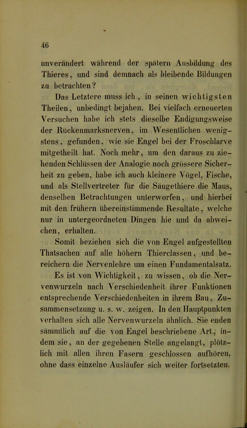 unverändert während der spätem Ausbildung des Thieres, und sind demnach als bleibende Bildungen zu betrachten? Das Letztere muss ich , in seinen wichtigsten Theilen, unbedingt bejahen. Bei vielfach erneuerten Versuchen habe ich stets dieselbe Endigungsweise der Rückenmarksnerven, im Wesentlichen wenig- stens, gefunden, wie sie Engel bei der Froschlarve mitgetheilt hat. Noch mehr, um den daraus zu zie- henden Schlüssen der Analogie noch grössere Sicher- heit zu geben, habe ich auch kleinere Vögel, Fische, und als Stellvertreter für die Säugethiere die Maus, denselben Betrachtungen unterworfen, und hierbei mit den frühem übereinstimmende Resultate, welche nur in untergeordneten Dingen hie und da abwei- chen, erhalten. Somit beziehen sich die von Engel aufgestellten Thatsachen auf alle hohem Thierclassen, und be- reichern die Nervenlehre um einen Fundamentalsatz. Es ist von Wichtigkeit, zu wissen, ob die Ner- venwurzeln nach Verschiedenheit ihrer Funktionen entsprechende Verschiedenheiten in ihrem Bau, Zu- sammensetzung u. s. w. zeigen. In den Hauptpunkten verhalten sich alle Nervenwurzeln ähnlich. Sie enden sämmtlich auf die von Engel beschriebene Art, in- dem sie, an der gegebenen Stelle angelangt, plötz- lich mit allen ihren Fasern geschlossen aufhören, ohne dass einzelne Ausläufer sich weiter fortsetzten.