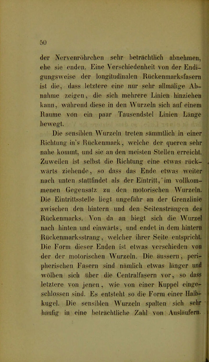 der Nervenröhrchen sehr beträchtlich abnehmen, ehe sie enden. Eine Verschiedenheit von der Endi- gungsweise der longitudinalen Rückenmarksfasern ist die, dass letztere eine nur sehr allmälige Ab- nahme zeigen, die sich mehrere Linien hinziehen kann, während diese in den Wurzeln sich auf einem Raume von ein paar Tausendstel Linien Länge bewegt. Die sensiblen Wurzeln treten sämmtlich in einer Richtung in’s Rückenmark, welche der queren sehr nahe kommt, und sie an den meisten Stellen erreicht. Zuweilen ist seihst die Richtung eine etwas rück- wärts ziehende, so dass das Ende etwas weiter nach unten stattfindet als der Eintritt,' im vollkom- menen Gegensatz zu den motorischen Wurzeln. Die Eintrittsstelle liegt ungefähr an der Grenzlinie zwischen den hintern und den Seitensträngen des Rückenmarks. Von da an biegt sich die Wurzel nach hinten und einwärts, und endet in dem hintern Rückenmarksstrang, welcher ihrer Seite entspricht. Die Form dieser Enden ist etwas verschieden von der der motorischen Wurzeln. Die äussern, peri- pherischen Fasern sind nämlich etwas länger und wölben sich über die Centralfasern vor, so dass letztere von jenen, wie von einer Kuppel einge- schlossen sind. Es entsteht so die Form einer Halb- kugel. Die sensiblen Wurzeln spalten sich sehr häufig in eine beträchtliche Zahl von Ausläufern.