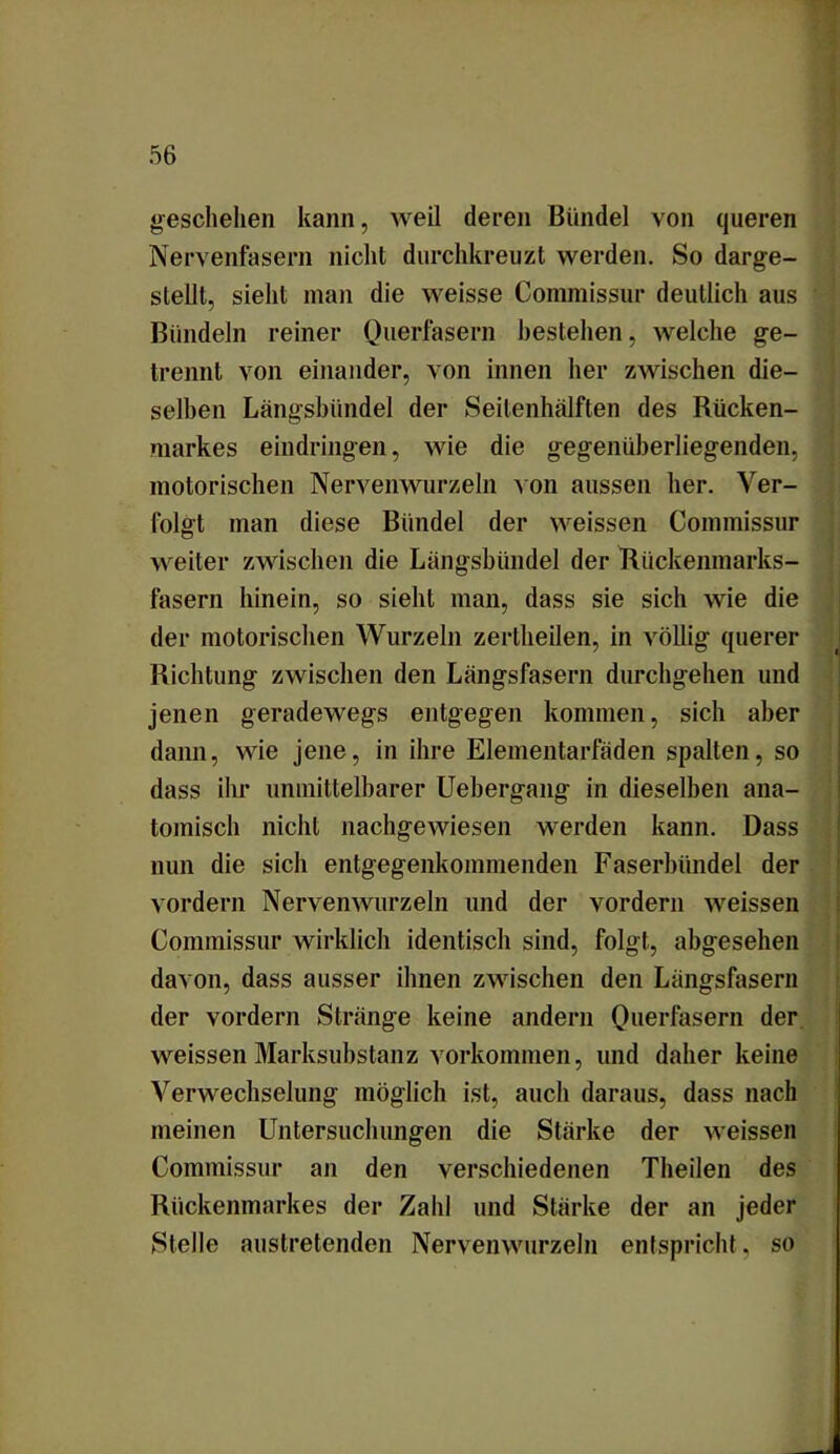 geschehen kann, weil deren Bündel von queren Nervenfasern nicht durchkreuzt werden. So darge- stellt, sieht man die weisse Commissur deutlich aus Bündeln reiner Querfasern bestehen, welche ge- trennt von einander, von innen her zwischen die- selben Längsbündel der Seilenhälften des Rücken- markes eindringen, wie die gegenüberliegenden, motorischen Nervenwurzeln von aussen her. Ver- folgt man diese Bündel der weissen Commissur weiter zwischen die Längsbündel der Rückenmarks- fasern hinein, so sieht man, dass sie sich wie die der motorischen Wurzeln zertheilen, in völlig querer Richtung zwischen den Längsfasern durchgehen und jenen geradewegs entgegen kommen, sich aber dann, wie jene, in ihre Elementarfäden spalten, so dass ihr unmittelbarer Uebergang in dieselben ana- tomisch nicht nachgewiesen werden kann. Dass nun die sich entgegenkommenden Faserbündel der vordem Nervenwurzeln und der vordem weissen Commissur wirklich identisch sind, folgt, abgesehen davon, dass ausser ihnen zwischen den Längsfasern der vordem Stränge keine andern Querfasern der weissen Marksubstanz Vorkommen, und daher keine Verwechselung möglich ist, auch daraus, dass nach meinen Untersuchungen die Stärke der weissen Commissur an den verschiedenen Theilen des Rückenmarkes der Zahl und Stärke der an jeder Stelle auslretenden Nervenwurzeln entspricht, so