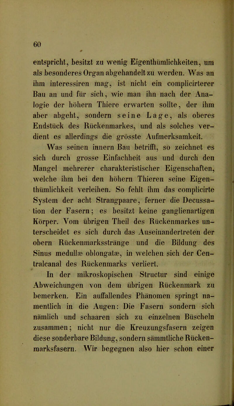 entspricht, besitzt zu wenig Eigentümlichkeiten, um als besonderes Organ abgeliandell zu werden. Was an ihm interessiren mag, ist nicht ein complicirterer Bau an und für sich, wie man ihn nach der Ana- logie der höhern Thiere erwarten sollte, der ihm aber abgeht, sondern seine Lage, als oberes Endstück des Rückenmarkes, und als solches ver- dient es allerdings die grösste Aufmerksamkeit. Was seinen innern Bau betrifft, so zeichnet es sich durch grosse Einfachheit aus und durch den Mangel mehrerer charakteristischer Eigenschaften, welche ihm bei den höhern Thieren seine Eigen- tümlichkeit verleihen. So fehlt ihm das complicirte System der acht Strangpaare, ferner die Decussa- tion der Fasern; es besitzt keine ganglienartigen Körper. Vom übrigen Theil des Rückenmarkes un- terscheidet es sich durch das Auseinandertreten der obern Rückenmarksstrange und die Bildung des Sinus medulla? oblongatae, in welchen sich der Cen- tralcanal des Rückenmarks verliert. In der mikroskopischen Structur sind einige Abweichungen von dem übrigen Rückenmark zu bemerken. Ein auffallendes Phänomen springt na- mentlich in die Augen: Die Fasern sondern sich nämlich und schaaren sich zu einzelnen Büscheln zusammen; nicht nur die Kreuzungsfasern zeigen diese sonderbare Bildung, sondern sämmtliche Rücken- marksfasern. Wir begegnen also hier schon einer