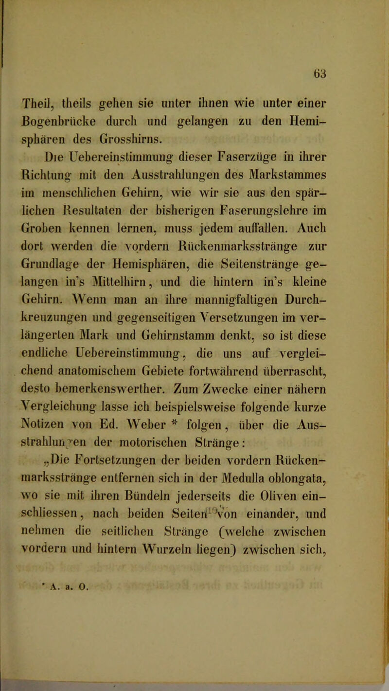 Thei], theils gehen sie unter ihnen wie unter einer Bogenbrücke durch und gelangen zu den Hemi- sphären des Grosshirns. Die Uebereinstinnniing dieser Faserzüge in ihrer Richtung mit den Ausstrahlungen des Markstammes im menschlichen Gehirn, wie wir sie aus den spär- lichen Resultaten der bisherigen Faserungslehre im Groben kennen lernen, muss jedem auflallen. Auch dort werden die vordem Rückenmarksstränge zur Grundlage der Hemisphären, die Seitenstränge ge- langen in’s Mittelhirn, und die hintern in’s kleine Gehirn. Wenn man an ihre mannigfaltigen Durch- kreuzungen und gegenseitigen Versetzungen im ver- längerten Mark und Gehirnstamm denkt, so ist diese endliche Uebereinstimmung, die uns auf verglei- chend anatomischem Gebiete fortwährend überrascht, desto bemerkenswerther. Zum Zwecke einer nähern Vergleichung lasse ich beispielsweise folgende kurze Notizen von Ed. Weber* folgen, über die Aus- strahlungen der motorischen Stränge: „Die Fortsetzungen der beiden vordem Rücken- marksstränge entfernen sich in der Medulla oblongata, wo sie mit ihren Bündeln jederseits die Oliven ein- schliessen, nach beiden Seiten Von einander, und nehmen die seitlichen Stränge (welche zwischen vordem und hintern Wurzeln liegen) zwischen sich, * A. a. o.