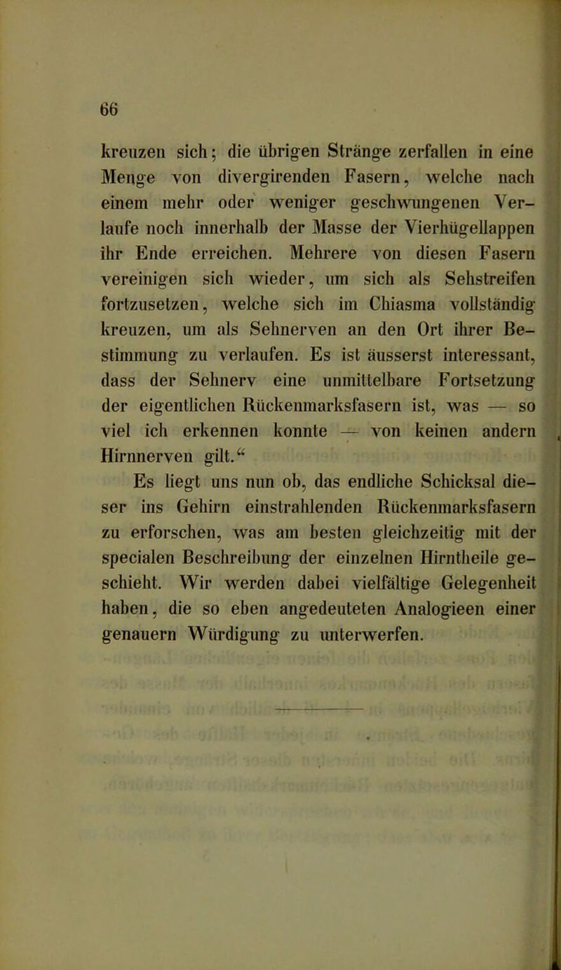 Menge von divergirenden Fasern, welche nach einem mehr oder weniger geschwungenen Ver- laufe noch innerhalb der Masse der Vierhügellappen ihr Ende erreichen. Mehrere von diesen Fasern vereinigen sich wieder, um sich als Sehstreifen fortzusetzen, welche sich im Chiasma vollständig kreuzen, um als Sehnerven an den Ort ihrer Be- stimmung zu verlaufen. Es ist äusserst interessant, dass der Sehnerv eine unmittelbare Fortsetzung der eigentlichen Rückenmarksfasern ist, was — so viel ich erkennen konnte — von keinen andern Hirnnerven gilt.“ Es liegt uns nun ob, das endliche Schicksal die- ser ins Gehirn einstrahlenden Rückenmarksfasern zu erforschen, was am besten gleichzeitig mit der specialen Beschreibung der einzelnen Hirntheile ge- schieht. Wir werden dabei vielfältige Gelegenheit haben, die so eben angedeuteten Analogieen einer genauem Würdigung zu unterwerfen.