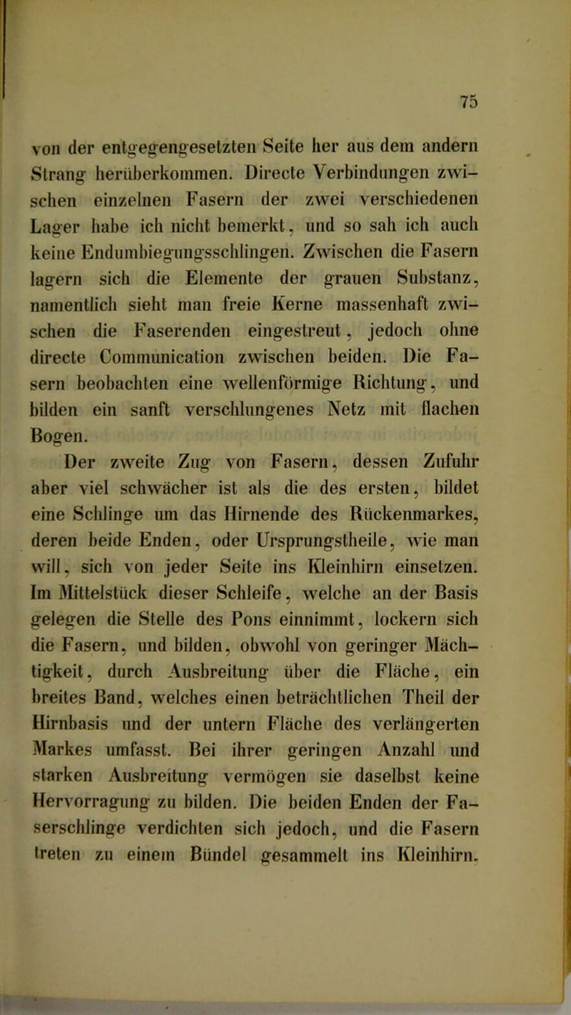 von der entgegengesetzten Seite her aus dein andern Strang herüberkoinmen. Directe Verbindungen zwi- schen einzelnen Fasern der zwei verschiedenen Lager habe ich nicht bemerkt, und so sah ich auch keine Endumbiegungsschlingen. Zwischen die Fasern lagern sich die Elemente der grauen Substanz, namentlich sieht man freie Kerne massenhaft zwi- schen die Faserenden eingestreut, jedoch ohne directe Communication zwischen beiden. Die Fa- sern beobachten eine wellenförmige Richtung, und bilden ein sanft verschlungenes Netz mit flachen Bogen. Der zweite Zug von Fasern, dessen Zufuhr aber viel schwächer ist als die des ersten, bildet eine Schlinge um das Hirnende des Rückenmarkes, deren beide Enden, oder Ursprungstheile, wie man will, sich von jeder Seite ins Kleinhirn einsetzen. Im Mittelstück dieser Schleife, welche an der Basis gelegen die Stelle des Pons einnimmt, lockern sich die Fasern, und bilden, obwohl von geringer Mäch- tigkeit , durch Ausbreitung über die Fläche, ein breites Band, welches einen beträchtlichen Theil der Hirnbasis und der untern Fläche des verlängerten Markes umfasst. Bei ihrer geringen Anzahl und starken Ausbreitung vermögen sie daselbst keine Hervorragung zu bilden. Die beiden Enden der Fa- serschlinge verdichten sich jedoch, und die Fasern treten zu einem Bündel gesammelt ins Kleinhirn.