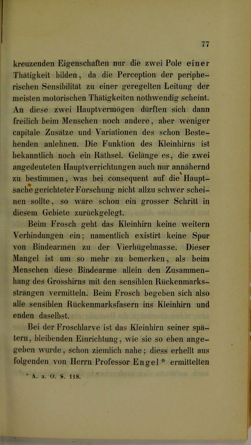 kreuzenden Eigenschaften nur die zwei Pole einer Thätigkeit bilden, da die Perception der periphe- rischen Sensibilität zu einer geregelten Leitung der meisten motorischen Thätigkeiten nothwendig scheint. An diese zwei Hauptvermögen dürften sich dann freilich heim Menschen noch andere, aber weniger capitale Zusätze und Variationen des schon Beste- henden anlehnen. Die Funktion des Kleinhirns ist bekanntlich noch ein Räthsel. Gelänge es, die zwei angedeuteten Hauptverrichtungen auch nur annähernd zu bestimmen, was hei consequent auf die Haupt- sache gerichteter Forschung nicht allzu schwer schei- nen sollte, so wäre schon ein grosser Schritt in diesem Gebiete zurückgelegt. Beim Frosch geht das Kleinhirn keine weitern Verbindungen ein; namentlich existirt keine Spur von Bindearmen zu der Vierhügelmasse. Dieser Mangel ist um so mehr zu bemerken, als beim Menschen diese Bindearme allein den Zusammen- hang des Grosshirns mit den sensiblen Rückenmarks- strängen vermitteln. Beim Frosch begeben sich also alle sensiblen Rückenmarksfasern ins Kleinhirn und enden daselbst. Bei der Froschlarve ist das Kleinhirn seiner spä- tem, bleibenden Einrichtung, wie sie so eben ange- geben wurde, schon ziemlich nahe; diess erhellt aus folgenden von Herrn Professor Engel* ermittelten * A. a. o. s. 118.