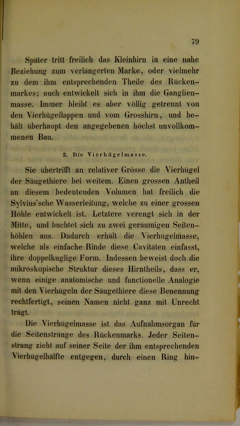 Später tritt freilich das Kleinhirn in eine nahe Beziehung- zum verlängerten Marke, oder vielmehr zu dem ihm entsprechenden Tlieile des Rücken- markes; auch entwickelt sich in ihm die Ganglien- masse. Immer bleibt es aber völlig getrennt von den Vierhügellappen und vom Grosshirn, und be- halt überhaupt den angegebenen höchst unvollkom- menen Bau. 2. Die Vierhügelmasse. Sie übertrifft an relativer Grösse die Vierhügel der Säugethiere bei weitem. Einen grossen Antheil an diesem bedeutenden Volumen hat freilich die Sylvius’sche Wasserleitung, welche zu einer grossen Höhle entwickelt ist. Letztere verengt sich in der Mitte, und buchtet sich zu zwei geräumigen Seiten- höhlen aus. Dadurch erhält die Vierhügelmasse, welche als einfache Rinde diese Cavitäten einfasst, ihre doppelkuglige Form. Indessen beweist doch die mikroskopische Struktur dieses Hirntheils, dass er, wenn einige anatomische und functioneile Analogie mit den Vierhügeln der Säugethiere diese Benennung rechtfertigt, seinen Namen nicht ganz mit Unrecht trägt. Die Vierhügelmasse ist das Aufnahmsorgan für die Seitenstränge des Rückenmarks. Jeder Seiten- strang zieht auf seiner Seite der ihm entsprechenden Vierhügelhälfte entgegen, durch einen Ring hin-