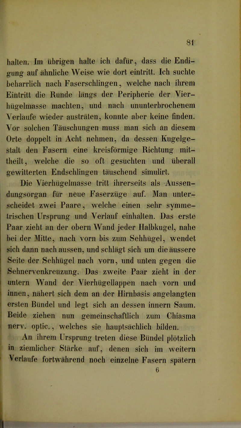 halten. Im übrigen halte ich dafür, dass die Endi- gung auf ähnliche Weise wie dort eintritt. Ich suchte beharrlich nach Faserschlingen, welche nach ihrem Eintritt die Runde längs der Peripherie der Vier- hügelmasse machten, und nach ununterbrochenem Verlaufe wieder austräten, konnte aber keine finden. Vor solchen Täuschungen muss man sich an diesem Orte doppelt in Acht nehmen, da dessen Kugelge- stalt den Fasern eine kreisförmige Richtung init- theilt, welche die so oft gesuchten und überall gewitterten Endschlingen täuschend simulirt. Die Vierhügelmasse tritt ihrerseits als Aussen- dungsorgan für neue Faserzüge auf. Man unter- scheidet zwei Paare, welche einen sehr symme- trischen Ursprung und Verlauf einhalten. Das erste Paar zieht an der obern Wand jeder Halbkugel, nahe bei der Mitte, nach vorn bis zum Sehhügel, wendet sich dann nach aussen, und schlägt sich um die äussere Seite der Sehhügel nach vorn, und unten gegen die Sehnervenkreuzung. Das zweite Paar zieht in der untern Wand der Vierhügellappen nach vorn und innen, nähert sich dem an der Hirnbasis angelangten ersten Bündel und legt sich an dessen innern Saum. Beide ziehen nun gemeinschaftlich zum Chiasma nerv, optic., welches sie hauptsächlich bilden. An ihrem Ursprung treten diese Bündel plötzlich in ziemlicher Stärke auf, denen sich im weitern Verlaufe fortwährend noch einzelne Fasern spätem 6 i