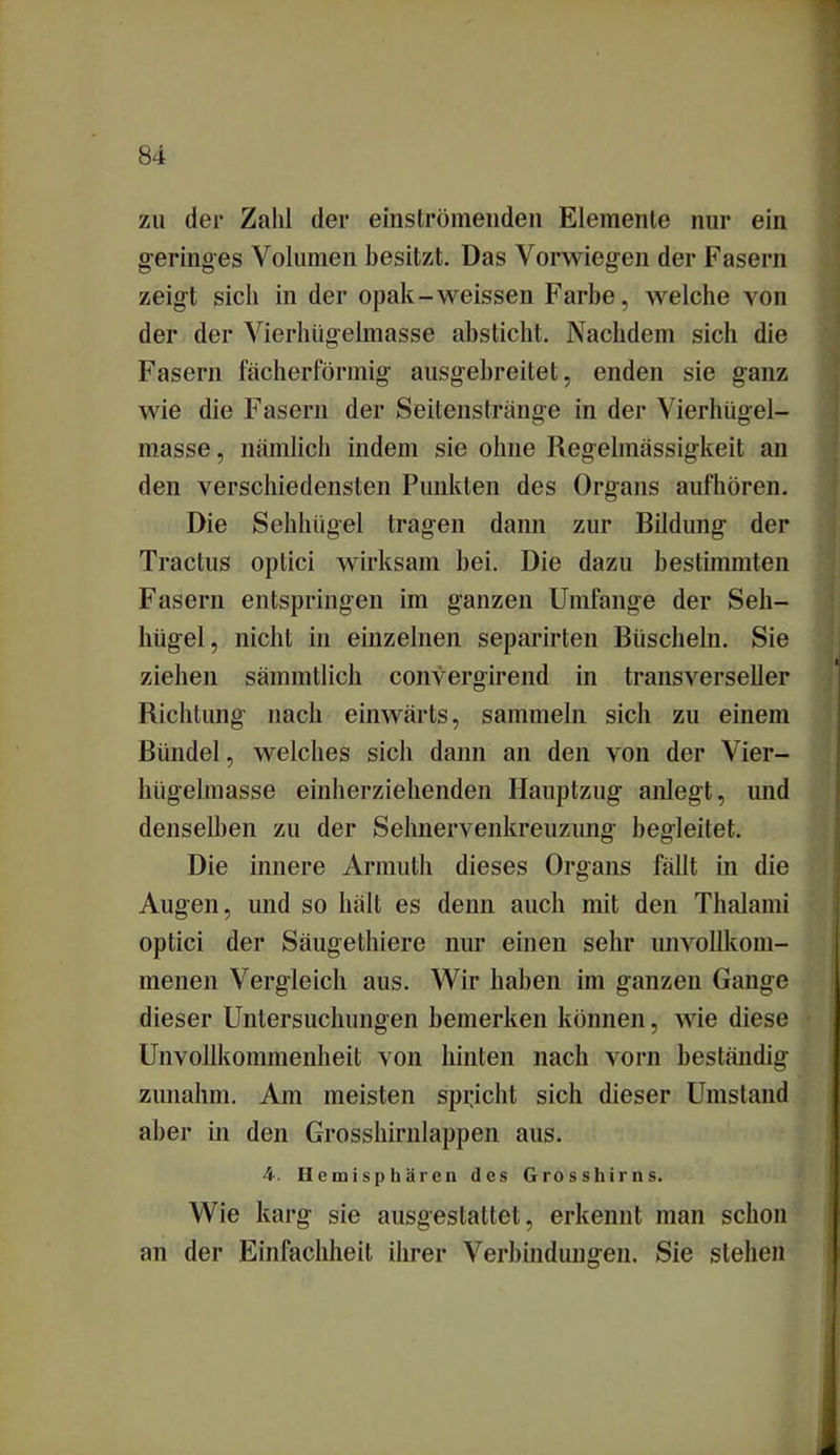 zu der Zahl der einströmenden Elemente nur ein geringes Volumen besitzt. Das Vorwiegen der Fasern zeigt sich in der opak-weissen Farbe, welche von der der Vierhügelmasse absticht. Nachdem sich die Fasern fächerförmig ausgebreitet, enden sie ganz wie die Fasern der Seitenstränge in der Vierhügel- masse , nämlich indem sie ohne Regelmässigkeit an den verschiedensten Punkten des Organs aufhören. Die Sehhügel tragen dann zur Bildung der Tractus optici wirksam bei. Die dazu bestimmten Fasern entspringen im ganzen Umfange der Seh- hügel, nicht in einzelnen sepärirten Büscheln. Sie ziehen sämmtlich convergirend in transverseier Richtung nach einwärts, sammeln sich zu einem Bündel, welches sich dann an den von der Vier- hügeknasse einherziehenden Hauptzug anlegt, und denselben zu der Sehnervenkreuzung begleitet. Die innere Armuth dieses Organs fällt in die Augen, und so hält es denn auch mit den Thalami optici der Säugethiere nur einen sehr unvollkom- menen Vergleich aus. Wir haben im ganzen Gange dieser Untersuchungen bemerken können, wie diese Unvollkommenheit von hinten nach vorn beständig zunahm. Am meisten spricht sich dieser Umsland aber in den Grosshirnlappen aus. 4. Hemisphären des Grosshirns. Wie karg sie ausgeslattet, erkennt man schon an der Einfachheit ihrer Verbindungen. Sie stehen