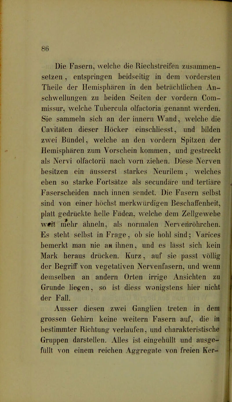 Die Fasern, welche die Riechstreifen zusammen- setzen, entspringen beidseitig in dein vordersten Theile der Hemisphären in den beträchtlichen An- schwellungen zu beiden Seiten der vordem Com- missur, welche Tubercula olfactoria genannt werden. Sie sammeln sich an der innern Wand, welche die Cavitäten dieser Höcker einschliesst, und bilden zwei Bündel, welche an den vordem Spitzen der Hemisphären zum Vorschein kommen, und gestreckt als Nervi olfactorii nach vorn ziehen. Diese Nerven besitzen ein äusserst starkes Neurilem, welches eben so starke Fortsätze als secundäre und tertiäre Faserscheiden nach innen sendet. Die Fasern selbst sind von einer höchst merkwürdigen Beschaffenheit, platt gedrückte helle Fäden, welche dem Zellgewebe wtit mehr ähneln, als normalen Nervenröhrchen. Es steht selbst in Frage, ob sie hohl sind; Varices bemerkt man nie an ihnen, und es lässt sich kein Mark heraus drücken. Kurz, auf sie passt völlig der Begriff von vegetativen Nervenfasern, und wenn demselben an andern Orten irrige Ansichten zu Grunde liegen, so ist diess wonigstens hier nicht der Fall. Ausser diesen zwei Ganglien treten in dem grossen Gehirn keine weitern Fasern auf, die in bestimmter Richtung verlaufen, und charakteristische Gruppen darstellen. Alles ist eingehüllt und ausge- füllt von einem reichen Aggregate von freien Ker-