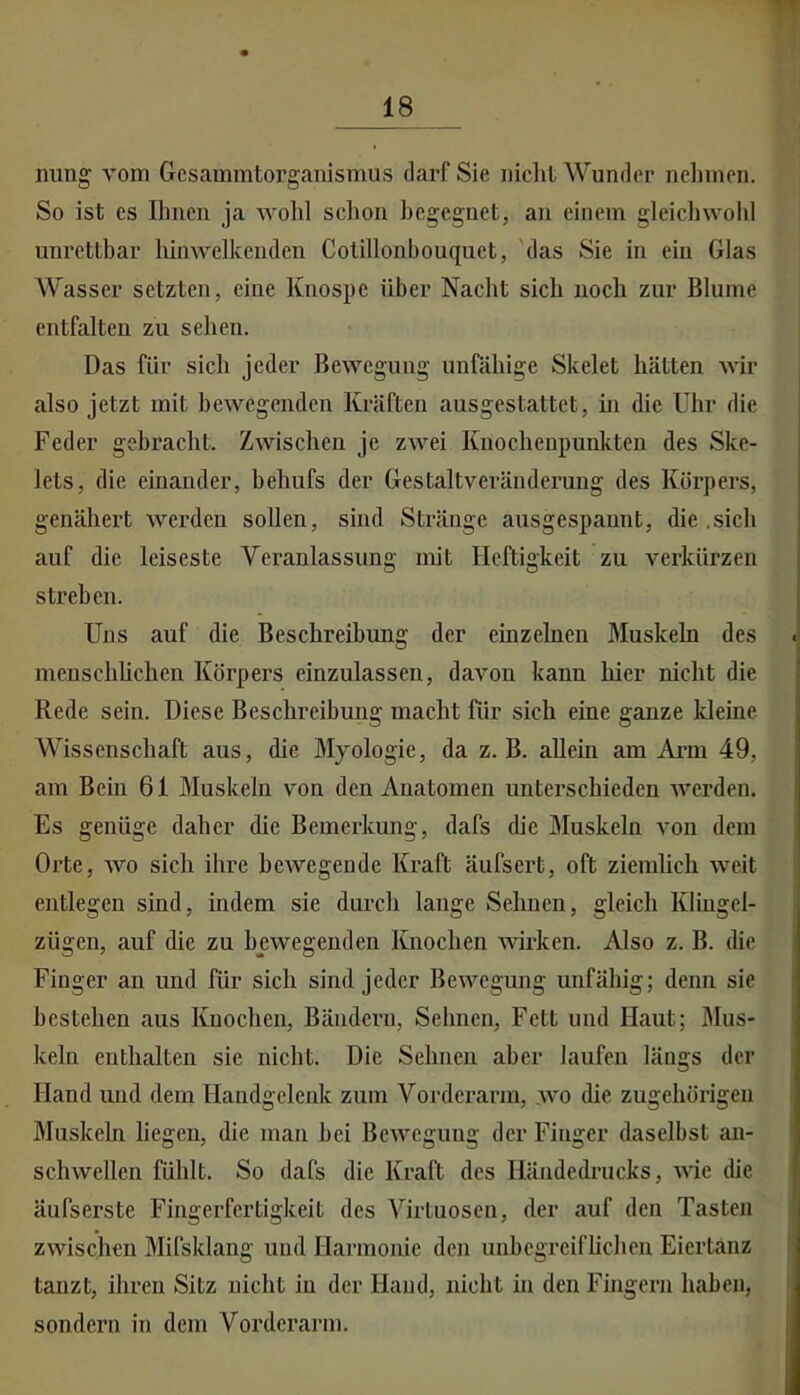 ■1 nimg vom Gcsammtorgamsmus darf Sie iiiclit Wunder nelimen. So ist es Ihnen ja wohl sclion begegnet, an einem gleichwohl unrettbar hinwelkenden Cotillonbouquet, 'das Sie in ein Glas Wasser setzten, eine Knospe über Nacht sich noch zur Blume entfalten zu sehen. Das für sich jeder Bewegung unfähige Skelet hätten wir also jetzt mit bewegenden Kräften ausgestattet, in die Uhr die Feder gebracht. Zwischen je zwei Knochenpunkteu des Ske- lets, die einander, behufs der Gestaltveränderung des Körpers, genähert werden sollen, sind Stränge ausgespannt, die.sich auf die leiseste Veranlassung mit Heftigkeit zu verkürzen streben. Uns auf die Beschreihmig der einzelnen Muskeln des meuschüchen Körpers einzulassen, davon kann liier nicht die Rede sein. Diese Beschreibung macht für sich eine ganze kleme Wissenschaft aus, die Myologie, da z. B. allein am Arm 49, am Bein 61 Muskeln von den Anatomen unterschieden werden. Es genüge daher die Bemerkung, dafs die Muskeln von dem Orte, wo sich ihre bewegende Kraft äufsert, oft ziemlich weit entlegen sind, indem sie durch lange Sehnen, gleich Kliugcl- zügen, auf die zu bewegenden lOiochen vnrken. Also z. B. die Finger au und für sich sind jeder Bewegung unfähig; denn sie bestehen aus Knochen, Bändern, Sehnen, Fett und Haut; Mus- keln enthalten sie nicht. Die Sehnen aber laufen längs der Hand imd dem Handgelenk zum Vorderarm, wo die zugehörigen I Muskeln liegen, die man hei Bewegung der Finger daselbst an- i schwellen fühlt. So dafs die Kraft des Händedrucks, Avic die äufserste Fingerfertigkeit des AGrtuosen, der auf den Tasten : zwischen Mifsklang und Harmonie den uiihegreifliehen Eiertanz j tanzt, ihren Sitz nicht in der Hand, nicht m den Fingern haben, I