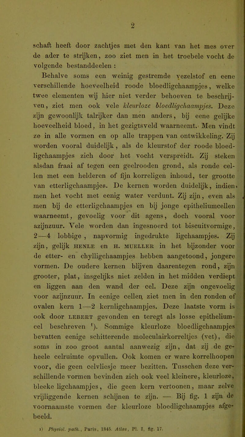 schaft heeft door zachtjes met den kant van het mes over de ader te strijken, zoo ziet men in het troebele vocht de volgende bestanddeelen : Behalve soms een ■weinig gestremde vezelstof en eene verschillende hoeveelheid roode bloedligchaampjes, welke twee elementen wij hier niet verder behoeven te beschrij- ven , ziet men ook vele kleurloze bloedligchaampjes. Deze zijn gewoonlijk talrijker dan men anders, bij eene gelijke hoeveelheid bloed, in het gezigtsveld waarneemt. Men vindt ze in alle vormen en op alle trappen van ontwikkeling. Zij worden vooral duidelijk, als de kleurstof der roode bloed- ligchaampjes zich door het vocht verspreidt. Zij steken alsdan fi’aai af tegen een geelrooden grond, als ronde cel- len met een helderen of fijn korreligen inhoud, ter grootte van etterligchaampjes. De kernen worden duidelijk, indien» men het vocht met eenig water verdunt. Zij zijn, even als men bij de etterligchaampjes en bij jonge epitheliumcellen waarneemt, gevoelig voor dit agens, doch vooral voor azijnzuur. Vele worden dan ingesnoerd tot biscuitvormige, 2—4 lobbige , nap vormig ingedrukte ligchaampjes. Zij zijn, gelijk henle en h. mueller in het bijzonder voor de etter- en chylligchaampjes hebben aangetoond, jongere vormen. De oudere kernen blijven daarentegen rond, zijn grooter, plat, insgelijks niet zelden in het midden verdiept en liggen aan den wand der cel. Deze zijn ongevoelig voor azijnzuur. In eenige cellep ziet men in den ronden of ovalen kern 1—2 kernligchaampjes. Deze laatste vorm is ook door lebert gevonden en teregt als losse epithelium- cel beschreven *). Sommige kleurloze bloedligchaampjes bevatten eenige schitterende moleculairkorreltjes (vet), die soms in zoo groot aantal aanwezig zijn, dat zij de ge- heele celruimte opvullen. Ook komen er ware korrelhoopen voor, die geen celvliesje meer bezitten. Tusschen deze ver- schillende vormen bevinden zich ook veel kleinere, kleurloze, bleeke ligchaampjes, die geen kern vertoonen, maar zelve vrijliggende kernen schijnen te zijn. — Bij fig. 1 zijn de voornaamste vormen der kleurloze bloodligchaampjes afge- beeld. ») Physiol. path-, Paris, 1845. Atlas, PI. I, fig. 17.