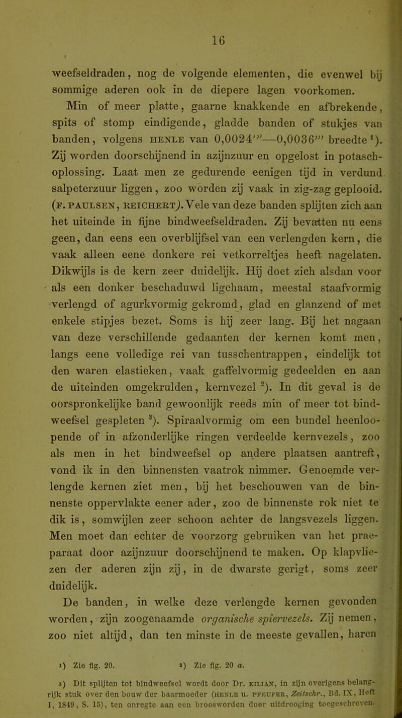 weefseldraden, nog de volgende elementen, die evenwel bij sommige aderen ook in de diepere lagen voorkomen. Min of meer platte, gaarne knakkende en afbrekende, spits of stomp eindigende, gladde banden of stukjes van banden, volgens henle van 0,0024'—0,0036' breedte*). Zij worden doorschijnend in azijnzuur en opgelost in potasch- oplossing. Laat men ze gedm’ende eenigen tijd in verdund salpeterzuur liggen, zoo worden zij vaak in zig-zag geplooid, (p. PAULSEN, keichertJ. Vele van deze banden splijten zich aan het uiteinde in fijne bindweefseldraden. Zij bevatten nu eens geen, dan eens een overblijfsel van een verlengden kern, die vaak alleen eene donkere rei vetkorreltjes heeft nagelaten. Dikwijls is de kern zeer duidelijk. Hij doet zich alsdan voor ' als een donker beschaduwd ligchaam, meestal staafvormig verlengd of agurkvormig gekromd, glad en glanzend of met enkele stipjes bezet. Soms is hij zeer lang. Bij het nagaan van deze verschillende gedaanten der kernen komt men, langs eene volledige rei van tusschenti-appen, eindelijk tot den waren elastieken, vaak gaffelvormig gedeelden en aan de uiteinden omgekrulden, kernvezel ®). In dit geval is de oorspronkelijke band gewoonlijk reeds min of meer tot bind- weefsel gespleten ®). Spiraalvormig om een bundel heenloo- pende of in afzonderlijke ringen verdeelde kern vezels, zoo als men in het bindweefsel op andere plaatsen aantreft, vond ik in den binnensten vaatrok nimmer. Genoemde ver- lengde kernen ziet men, bij het beschouwen van de bin- nenste oppei’vlakte eener ader, zoo de binnenste rok niet te dik is, somwijlen zeer schoon achter de langsvezels liggen. Men moet dan echter de voorzorg gebruiken van het prae- paraat door azijnzuur doorschijnend te maken. Op klapvlie- zen der aderen zijn zij, in de dwarste gerigt, soms zeer duidelijk. De banden, in welke deze verlengde kernen gevonden worden, zijn zoogenaamde organische spiervezels. Zij nemen, zoo niet altijd, dan ten minste in de meeste gevallen, haren 1) Zlo flg. 20. >) Zio ng. 20 a. 3) Dit splijten tot bindweefsel wordt door Dr. kiuan, in zijn overigens belang- rijk stuk over don bouw der baarmoeder (iiENr.E u. pfkufbb, Zcilschr., Bd. IX, Heft I, 1849, S. 15), ten onregte aan een brooswordon door uitdrooging tocgcschrevcn.,