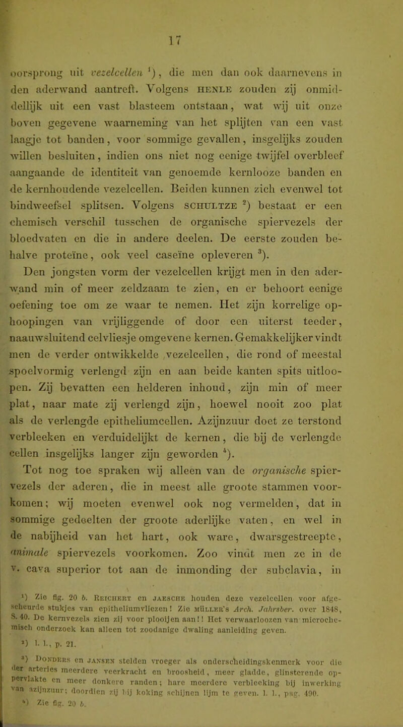 oorsprong nit vezelcellen *), die incn dan ook daarnevens in den aderwand aantrefl. Volgens iienle zouden zij onmid- dellijk uit een vast blasteem ontstaan, Avat wij uit onze boven gegevene Avaarneming van het splijten van een vast laagje tot banden, voor sommige gevallen, insgelijks zouden Avillen besluiten, indien ons niet nog eenige tAvijfel overbloef aangaande de identiteit van genoemde kernloozc banden en de kernhoudende vezelcellen. Beiden kunnen zich evenAvel tot bindAveefsel splitsen. A^olgens senuLTZE bestaat er een chemisch verschil tusschen de organische spiervezels der bloedvaten en die in andere deelen. De eerste zouden be- halve proteïne, ook veel caseïne opleveren ^). Den jongsten vorm der v'ezelcellen krijgt men in den ader- Avand min of meer zeldzaam te zien, en er behoort eenige oefening toe om ze Avaar te nemen. Het zijn korrelige op- hoopingen van vrijliggende of door een uiterst teeder, naauAvsluitend celvliesje omgevene kernen. Gemakkelijker vindt men de verder ontwikkelde vezelcellen , die rond of meestal spoelvormig verlengd zijn en aan beide kanten spits uitloo- pen. Zij bevatten een helderen iiihoud, zijn min of meer plat, naar mate zij verlengd zijn, hoeAvel nooit zoo plat als de verlengde epitheliumcellen. Azijnzuur doet ze terstond verbleeken en verduidelijkt de kernen, die bij de verlengde cellen insgelijks langer zijn geworden *). Tot nog toe spraken Avij alleen van de organische spier- vezels der aderen, die in meest alle groote stammen voor- komen ; wij moeten evenAvel ook nog vermelden, dat in sommige gedeelten der gi-oote aderlijke vaten, en Avel in de nabijheid van het hart, ook Avare, dAvarsgestreeptc, animale spiervezels voorkomen. Zoo vindt men ze in de V. cava superior tot aan de inmonding dor subclavia, in ') Zio fig. 20 b. Reicheut en .jaesciie houden deze vezelcellen voor afge- scheurde stukje» van cpitliellumvliezen! Zie mUleer's Arch. Jahrsber. over 184S, S. 40. Do kemvezeU zien zl] voor plooljen aan!! Het verwaarloozen vun microelic- misch onderzoek kan alleen tot zoodanige dwaling aanleiding geven. O >• 1-, p. 21. ’) Do.vder.s en j.vnsp.x stelden vroeger als ondersciieidlngskenmork voor die der arteries meerdere veerkracht en hrooalieid, meer gladde, glinsterende op- pervlakte en meer donkere randen; hare meerdere verhleeking bij inwerking van azijnzuur; doordien zy l ij koking schijnen lijm te geven. 1. 1., png. 1!)0. *' Zie flg. 20 b.