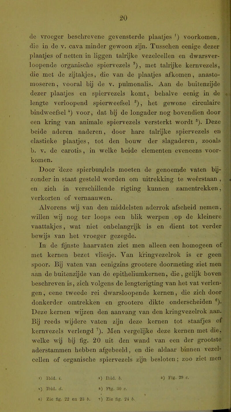 I (Ie vroeger beschrevene gevensterde plaatjes ') voorkomen, die in de v. cava minder gewoon zijn. Tusschen eenige dezer plaatjes of netten in liggen talrijke vezeleellen en dwarsver- loopende organische spiervezels , met tali’ijke kemvezels, die met de zijtakjes, die van de plaatjes afkomen, anasto- moseren, vooral bij de v. pulmonalis. Aan de buitenzijde dezer plaatjes en spiervezels komt, behalve eenig in de ^ lengte verloopend spierweefsel ®), het gewone circulaire bindAveefsel *) voor, dat bij de longader nog bovendien door een kring van animale spiervezels versterkt wordt ®). Deze beide aderen naderen, door hare talrijke spiervezels en elastieke plaatjes, tot den bouw der slagaderen, zooals b. V. de carotis, in welke beide elementen eveneens voor- komen. Door 'deze spierbundels moeten de genoemde vaten bij- zonder in staat gesteld worden om uitrekking te weêrstaan , i en zich in verschillende rigting kunnen zamentrekken, verkorten of vernaauwen. Alvorens wij van den middelsteu aderrok afscheid nemen, willen wij nog ter loops een blik werpen op de kleinere vaattakjes, wat niet onbelangrijk is en dient tot verder bewijs van het vroeger gezegde. In de fijnste haarvaten ziet men alleen een homogeen of met kernen bezet vliesje. Van kringvezelrok is er geen spoor. Bij vaten van eenigzins grootere doormeting ziet men aan de buitenzijde van de epitheliumkernen, die, gelijk boven beschreven is, zich volgens de lengterigting van het vat verlen- I gen, eene tweede rei dwarsloopende kernen, die zich door ! donkerder omtreklcen en grootere dikte onderscheiden ®). j Deze kernen wijzen den aanvang van den kringvezelrok aan. Bij reeds wijdere vaten zijn deze kernen tot staafjes of ■ kemvezels verlengd ^). Men vergelijke deze kernen met die, i welke wij bij fig. 20 uit den wand van een der grootste aderstammen hebben afgebeeld, en die aldaar binnen vezel- | cellen of organische spiervezels zyn besloten; zoo ziet men , . i o Ibid. I. 1) Il)id. b. 3) Fig. 2fl f. j *) Ibid. (/. 5) Fig. 30 f. o) Zie dg. 22 en 23 6. 7) Zie dg. 21 b.