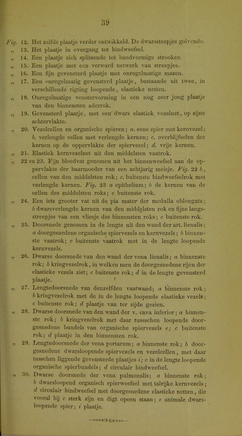 13. Het plaatje in ovcrgang tot bindweefsel. 14. Een plaatje zieli splitsende tot bandvormigc strookcn. 15. Een plaivtje met een verward netwerk van streepjes. 16. Een fijn gevensterd plaatje met onregelmatige mazen. 17. Een onregelmatig gevensterd plaatje, bestaande uit twee, in verschillende rigting loopende, elasticke netten. 18. Onregelmatige venstervorming iii een nog zeer jong plaatje van den binnensten aderrok. 19. Gevensterd plaatje, met een dwars elastiek vezelnct, op zijne achtervlakte. 20. Vezelcellen en organisebe spieren; a. eene spier met kern vezel; b. verlengde cellen met verlengde kernen; c. overblijfselen der kernen op de oppervlakte der spiervezel; d. vrije kernen. 21. Elastiek kernvezclnet uit den middelsten vaatrok. 22 en 23. Fijn bloedvat genomen uit het binnenweefsel aan de op- pervlakte der baarmoeder van een achtjarig meisje. Fig. 22 b, cellen van den middelsten rok; c. buitenste bindweefselrok met verlengde kernen. Fig. 23 a epithelium; b de kernen van de cellen des middelsten roks; c buitenste rok. 24. Een iets grooter vat uit dg pia mater der raedulla oblongata; b dwarsverlcngde kernen van den middelsten rok en fijne langs- streepjes van een vliesje des binnensten roks; c buitenste rok. 25. Doorsnede genomen in de lengte uit den wand der art. lienalis; a doorgesnedene organische spiervezels en kernvezels; b binnen- ste vaatrok; c buitenste vaatrok met in de lengte loopende kernvezels. 26. Dwarse doorsnede van den wand dervena lienalis; a binnenste rok; b kringvezelrok, in welken men de doorgesnedene rijen der clastieke vezels ziet; c buitenste rok; d in do lengte gevensterd plaatje. ' 27. Lengtedoorsnede van denzelfden vaatwand; a binnenste rok; b kringvezelrok met de in de lengte loopende elastieke vezels; c buitenste rok; d plaatje van ter zijde gezien. 28. Dwarse doorsnede van den wand der v. cava inferior; a binnen- ste rok; b kringvezelrok met daar tussschen loopende door- gesnodene bundels van organische spiervezels e; c buitenste rok; d plaatje in den binnensten rok. 29. Lengtedoorsnede der vena portarum; a binnenste rok; b door- gesnedenc dwarsloopende spiervezels en vezelcellen, met dam- tusschen liggende gevensterde plaatjes i; c in de lengte loopende organische spierbundels; d circulair bindweefsel. 30. Dwarse doorsnede der vena pulmonalis; a binnenste rok; b dwarsloopend organisch spierweefsel met talrijke kernvezels; d circulair bindweefsel met doorgesnedene clastieke netten, die vooral bij c sterk zijn en digt opeen staan; e animale dwars- loopendc .spier; t plaatje.