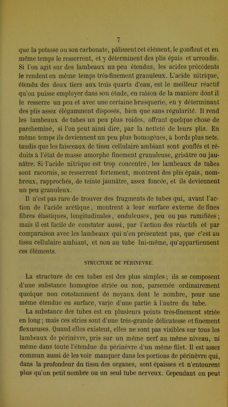 que la potasse ou sou carbonate, pâlissent cet élément, le gontlent et en même temps le resserrent, et y déterminent des plis épais et arrondis. Si l’on agit sur des lambeaux un peu étendus, les acides précédents le rendent en même temps très-finement granuleux. L’acide nitrique, étendu des deux tiers aux trois quarts d’eau, est le meilleur réactif qu’on puisse employer dans sou étude, en raison de la manière dont il le resserre un peu et avec une certaine brusquerie, en y déterminant des plis assez élégamment disposés, bien que sans régularité. Il rend les lambeaux de tubes un peu plus roides, offrant quelque chose de parcheminé, si l’on peut ainsi dire, par la netteté de leurs plis. En môme temps ils deviennent un peu plus homogènes, à bords plus nets, tandis que les faisceaux de tissu cellulaire ambiant sont gonflés et ré- duits à l’état de masse amorphe finement granuleuse, grisâtre ou jau- nâtre. Si l’acide nitrique est trop concentré, les lambeaux de tubes sont racornis, se resserrent fortement, montrent des plis épais, nom- breux, rapprochés,.de teinte jaunâtre, assez foncée, et ils deviennent un peu granuleux. Il n’est pas rare de trouver des fragments de tubes qui, avant l’ac- tion de l’acide acétique, montrent à leur surface externe de fines fibres élastiques, longitudinales, onduleuses, peu ou pas ramifiées; mais il est facile de constater aussi, par l’action des réactifs et par comparaison avec les lambeaux qui n’en présentent pas, que c’est au tissu cellulaire ambiant, et non au tube lui-méme, qu’appartiennent ces éléments. STRUCTURE DU PÉRINÉVRE. La structure de ces tubes est des plus simples ; ils se composent d’une substance homogène striée ou non, parsemée ordinairement quoique non constamment de noyaux dont le nombre, pour une même étendue en surface, varie d’une partie à l’autre du tube. La substance des tubes est en plusieurs points très-finement striée en long; mais ces stries sont d’une très-grande délicatesse et finement flexueuses. Quand elles existent, elles ne sont pas visibles sur tous les lambeaux de périnèvre, pris sur un même nerf au même niveau, ni même dans toute l’étendue du périnèvre d’un même filet. Il est assez commun aussi de les voir manquer dans les portions de périnèvre qui, dans la profondeur du tissu des organes, sont épaisses et n’entourent plus qu’un petit nombre ou un seul tube nerveux. Cependant on peut