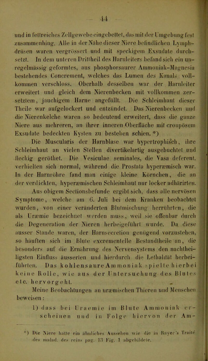 - 44 mul in fellreidic's Zc'llgewcboeingchelft'l, (Itij; mit der Umgebung- lest zusimimenliing. Allein der Nähe dieser Niere belindlielien Lympli- driisen waren vergrösserl und mit speckigem Exsudate durch- setzt. In dem unteren Dritlheil des Harnleiter.s befand sicli ein un- regelmässig geformtes, aus phosphorsaurer Ammoniak-Magnesia bestehendes Concrement, welches das Lumen des Kanals voll- kommen verschloss. Oberhalb desselben war der Harnleiter erweitert und gleich dem Nierenbecken mit vollkommen zer- setztem , jauchigem Harne angefüllt. Die Schleimhaut dieser Theile war aufgelockert und entzündet. Das Nierenbecken und die Nierenkelche waren so bedeutend erweitert, dass die ganze Niere aus mehreren, an ihrer inneren Oberfläche mit croupösem Exsudate bedeckten Kysten zu bestehen schien. *) Die Muscularis der Harnblase war hypertrophis^ch, ihre Schleimhaut an vielen Stellen divertikelarlig ausgebuchtet und lleckig gerothet. Die Vesiculae seminales, die Vasa deferent. verhielten sich normal, während die Prostata hyperaemisch war. In der Harnröhre fand man einige kleine Körnchen, die an der verdickten, hyperaemischen Schleimhaut nur locker adhärirten. Aus obigem Sectionsbefunde ergibt sich, dass alle nervösen Symptome, welche am G. Juli bei dem Kranken beobachtet wurden, von einer veränderten Blutmi.scIiuno- herrührten, die als Uraemie bezeichnet werden muss, weil sie oflenbar durch die Degeneration der Nieren herbeigeführt wurde. Da diese ausser Stande waren, der Harnsecretion geinigend vorzustehen, so häuften sich im Blute excrementelle Bestandlheile an, die besonders auf die Ernährung des Nervensystems den nachthei- ligsteu Einfluss äusserten und hierdurch di<? Lelhaldät herbei- führten. Das k o h 1 e n s a u r e A m m o n i a k .*• p i e 11 e hie r b e i keine Rolle, wie aus der Untersuchung des Blutes e t c. h e r V 0 r g e h t. Meine Beobachtungen an uraemischen Thieren und Menschen beweisen: 1) d a s s bei U i- a e m i e im Blute A m m o n i a k e r - scheinen und in Folge hiervon dei- Am- ”) Die Kiere linUe ein iiliiilidies Aussehen wie die in ltii_\er‘s Tniile